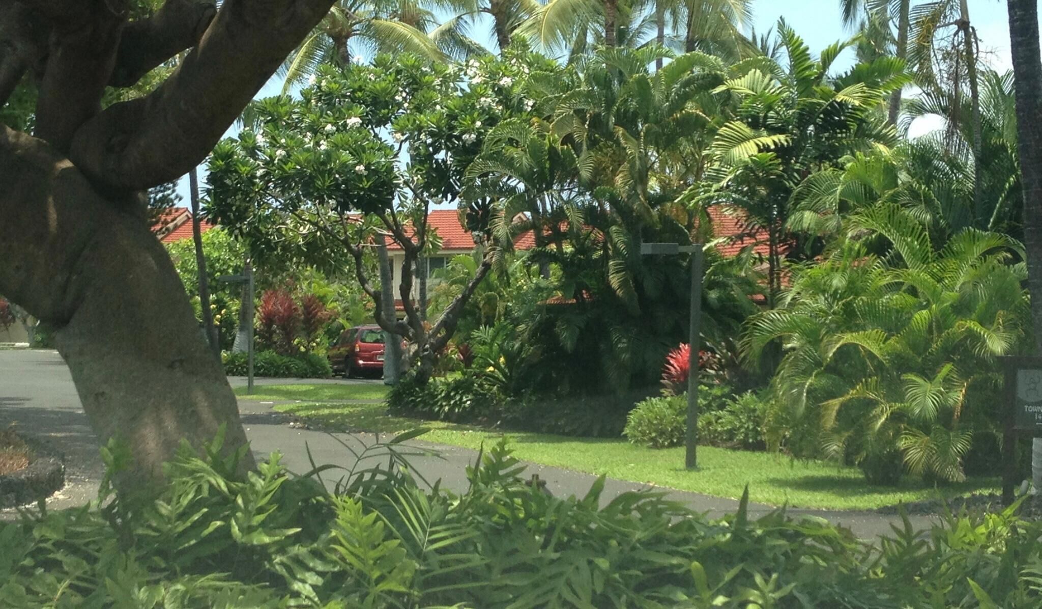 Kona Surf & Racquet Club