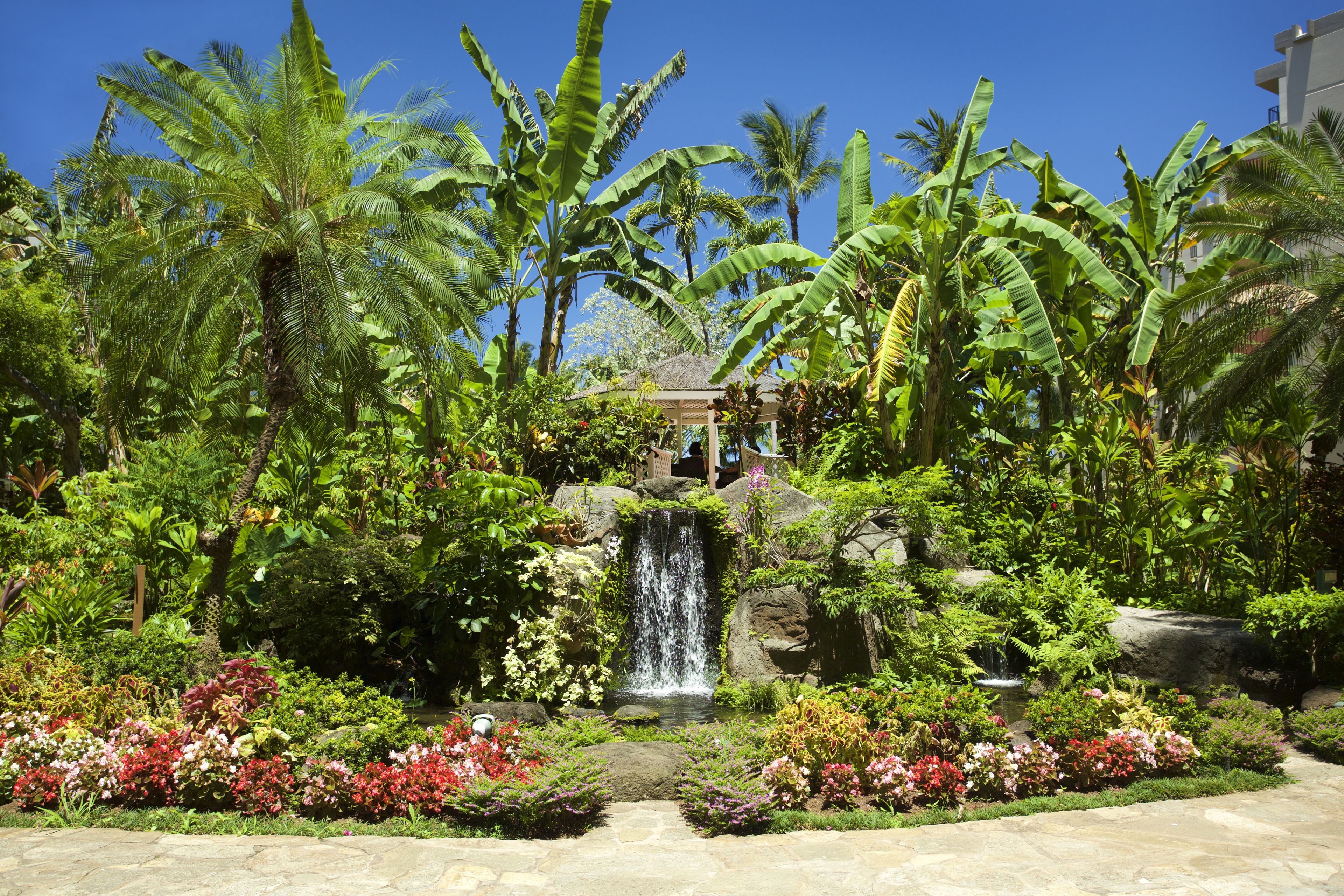 Kaanapali Shores by AEI