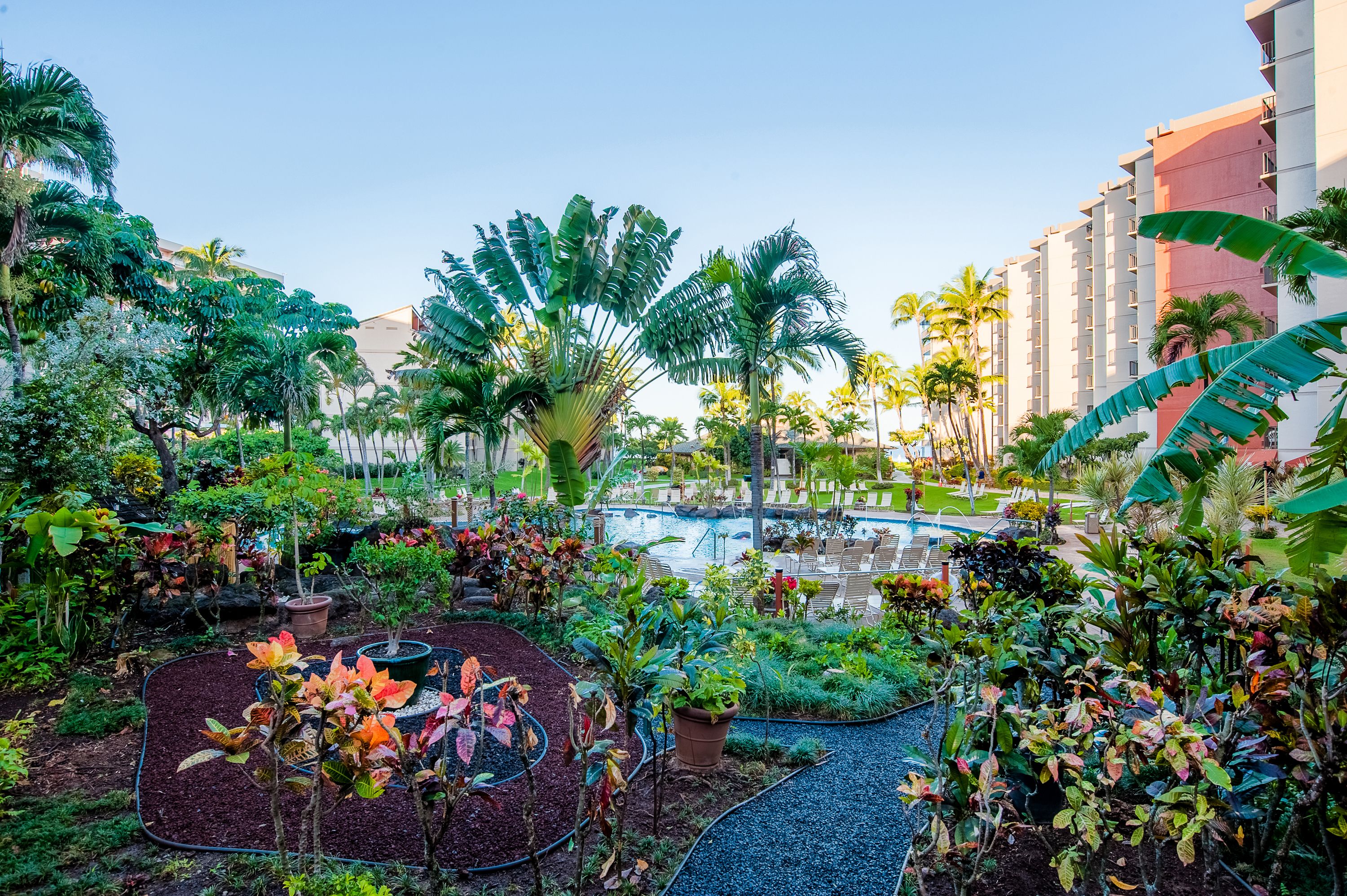 Kaanapali Shores by AEI
