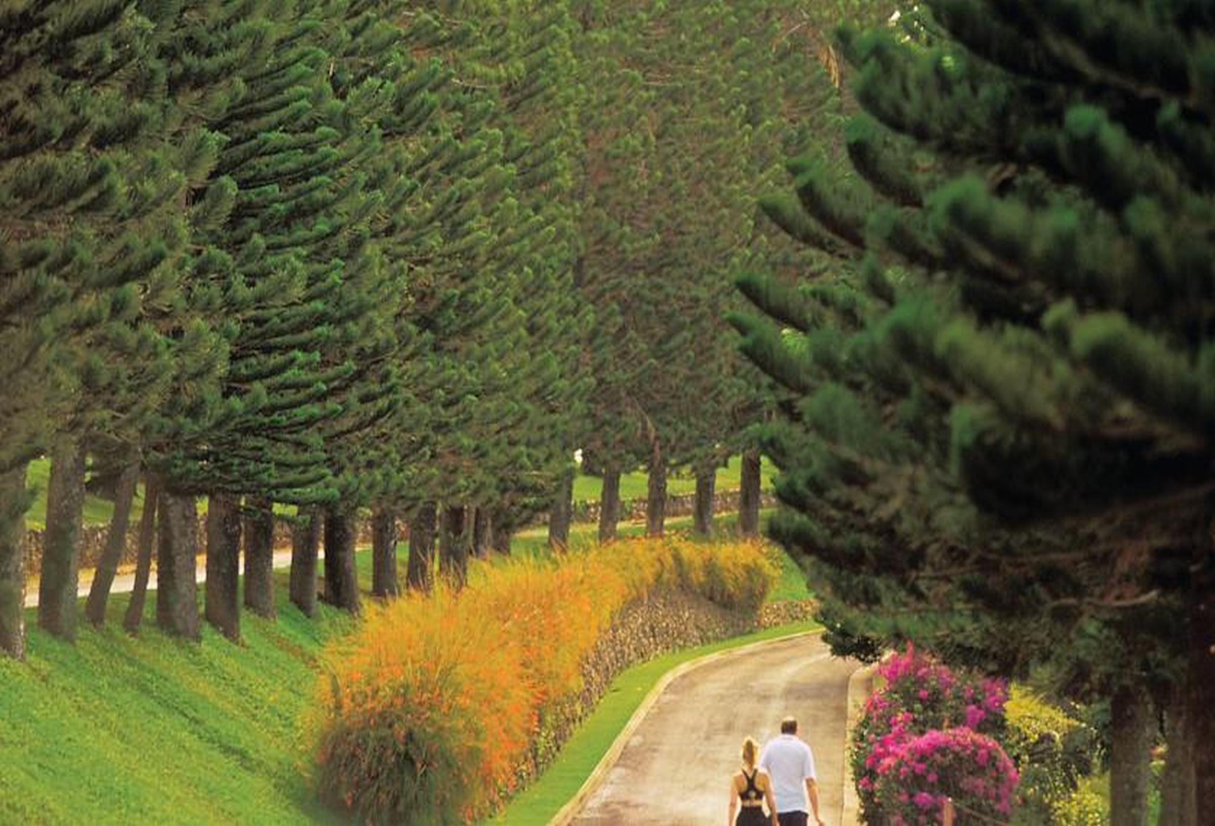 Kapalua Villas by Outrigger Kapalua Villas by Outrigger