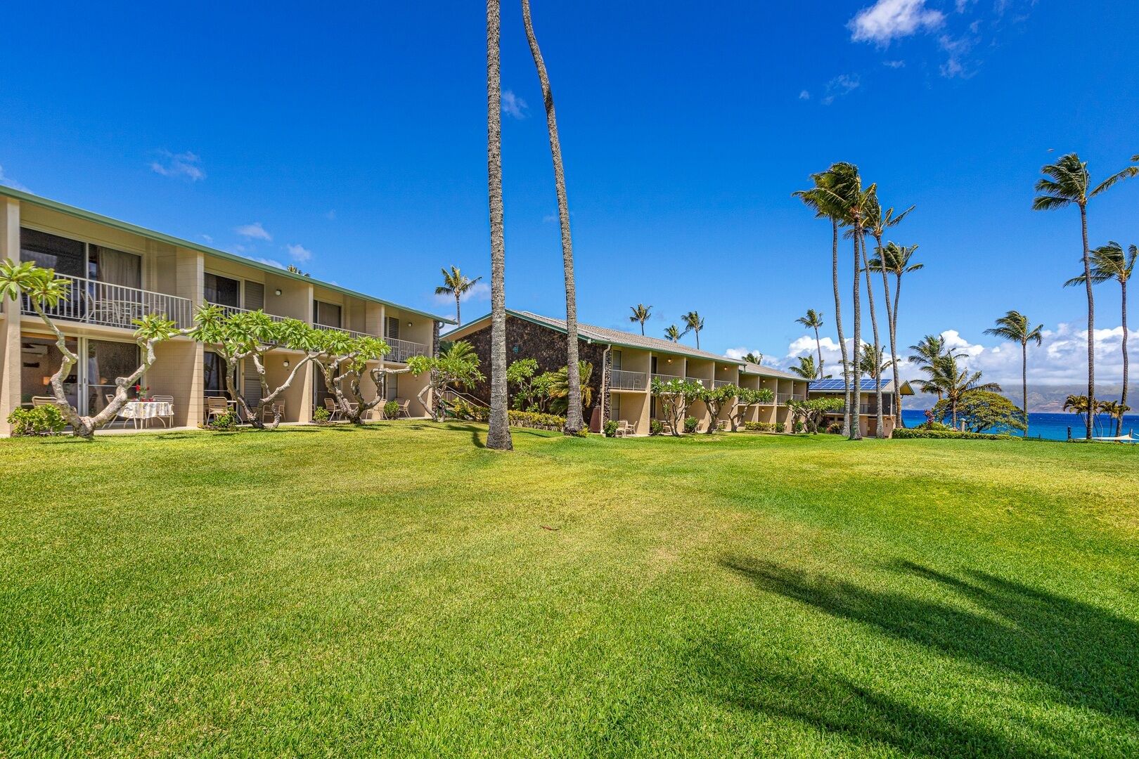 Napili Shores by RedAwning