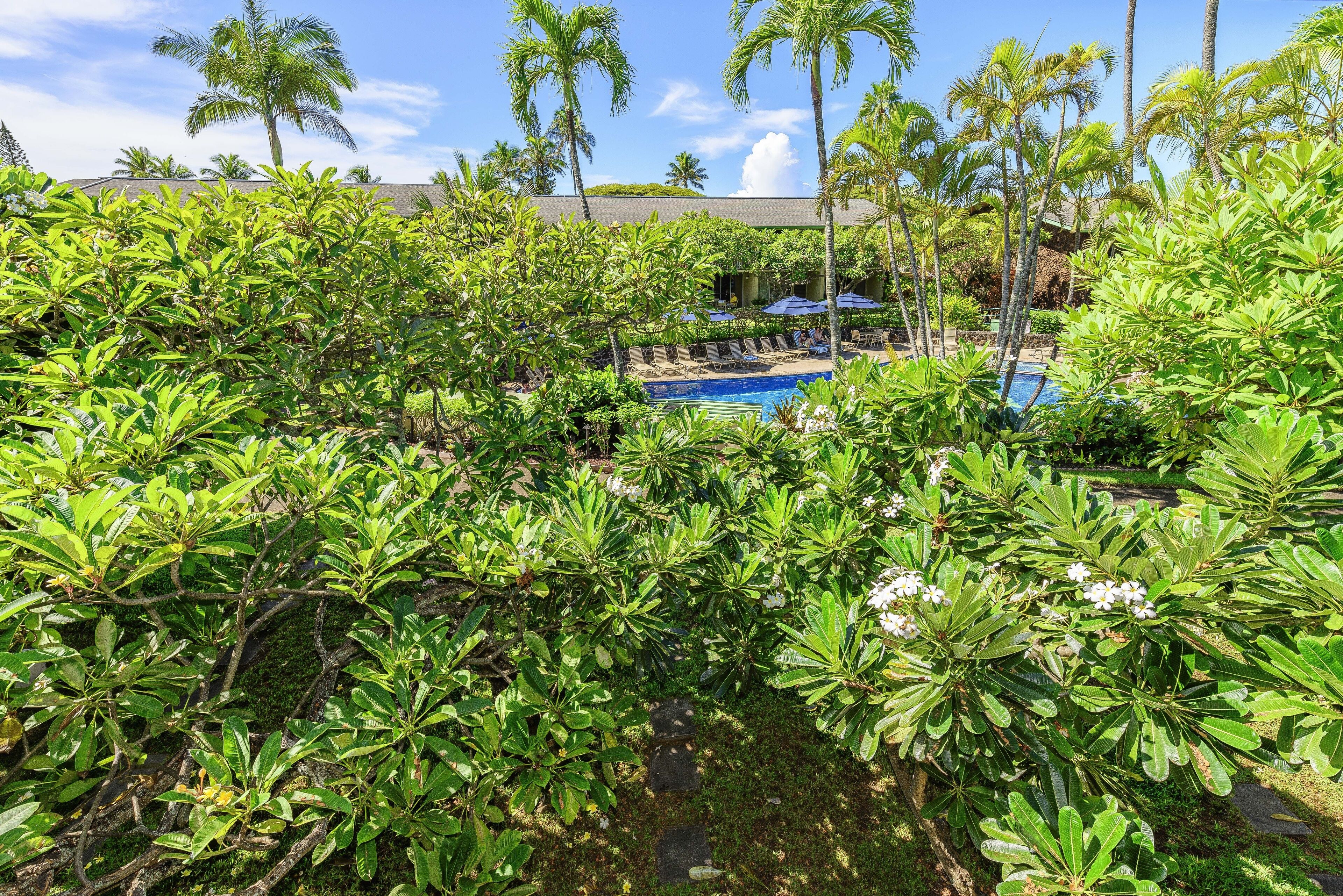 Napili Shores by RedAwning