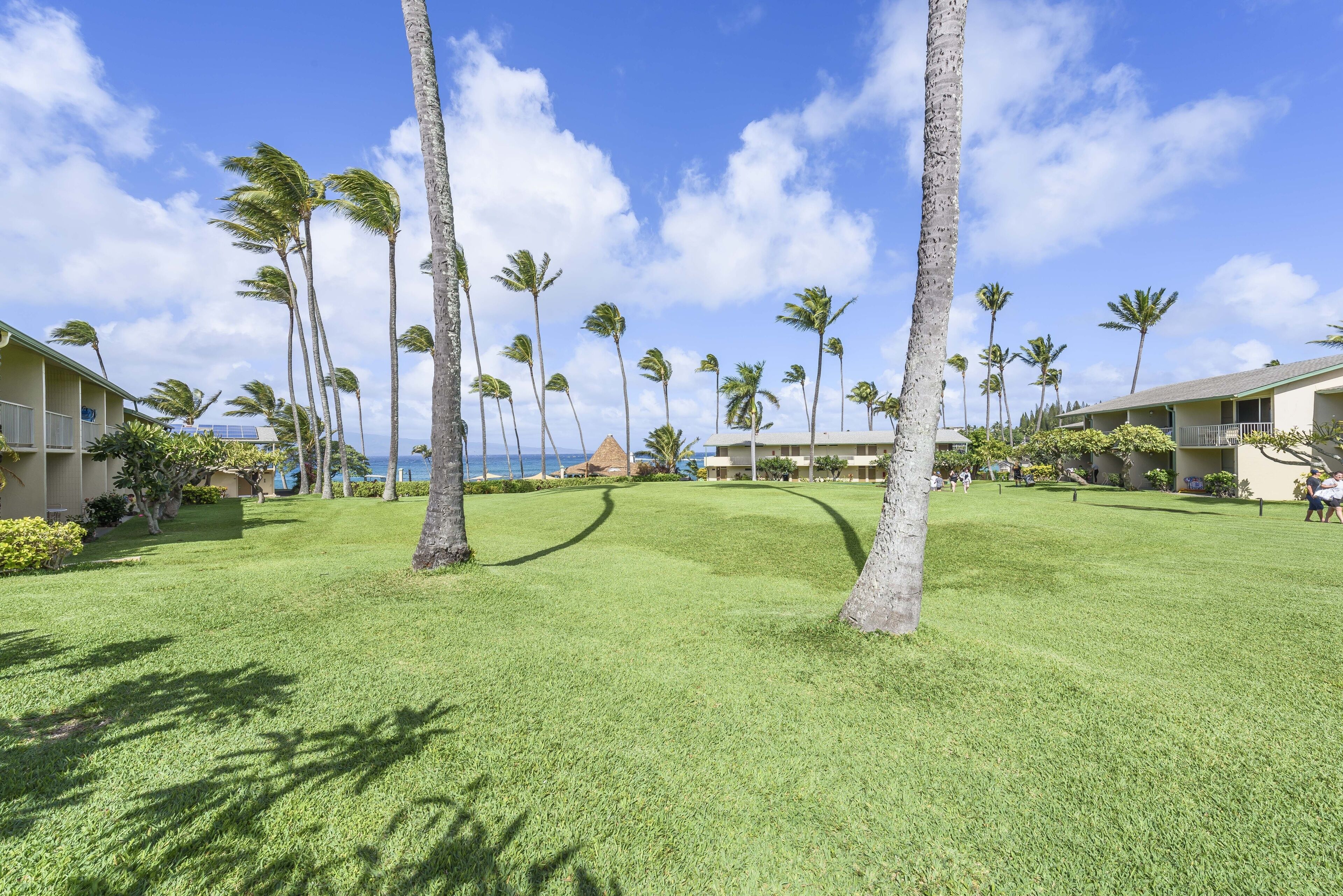 Napili Shores by RedAwning