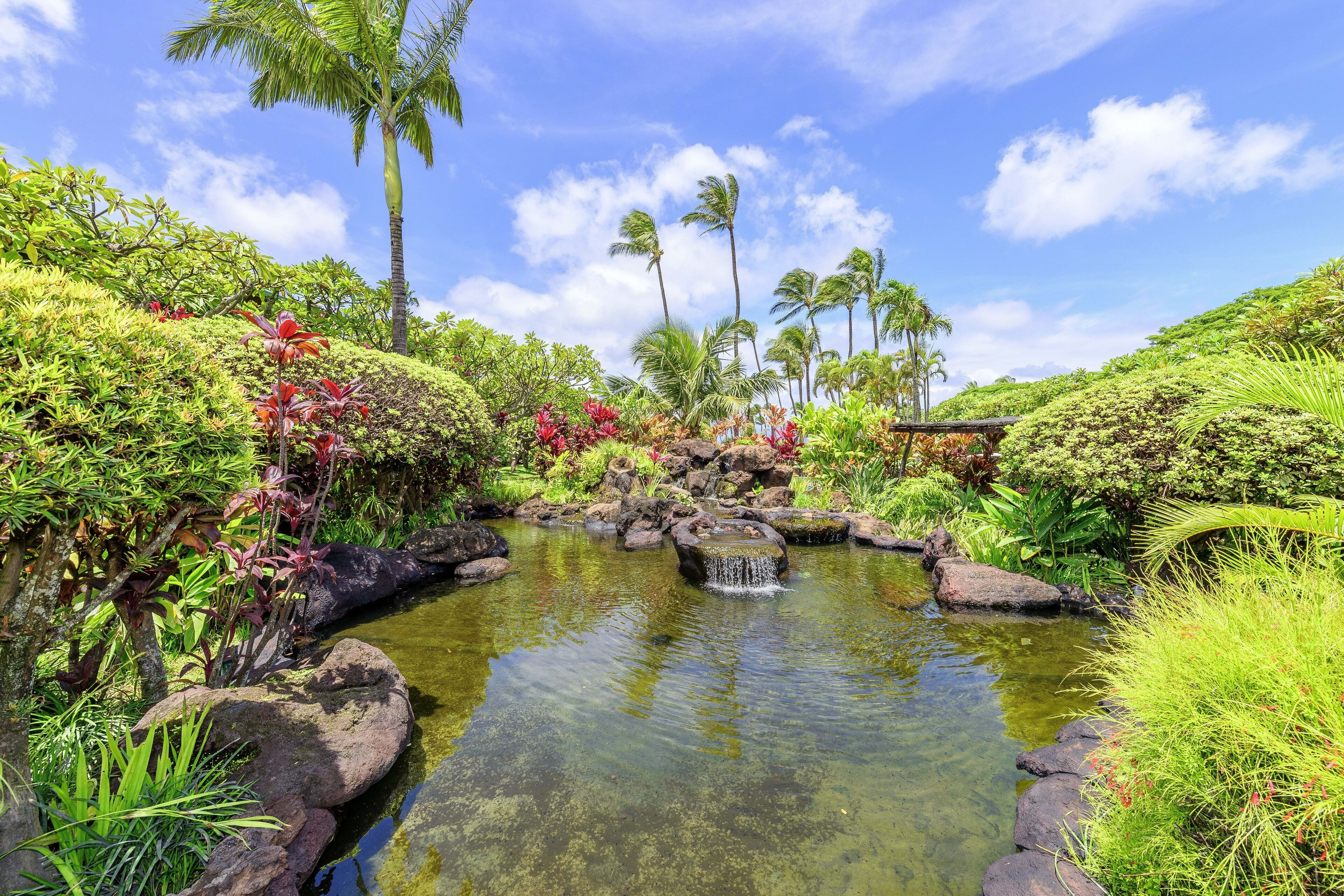 Napili Shores by RedAwning