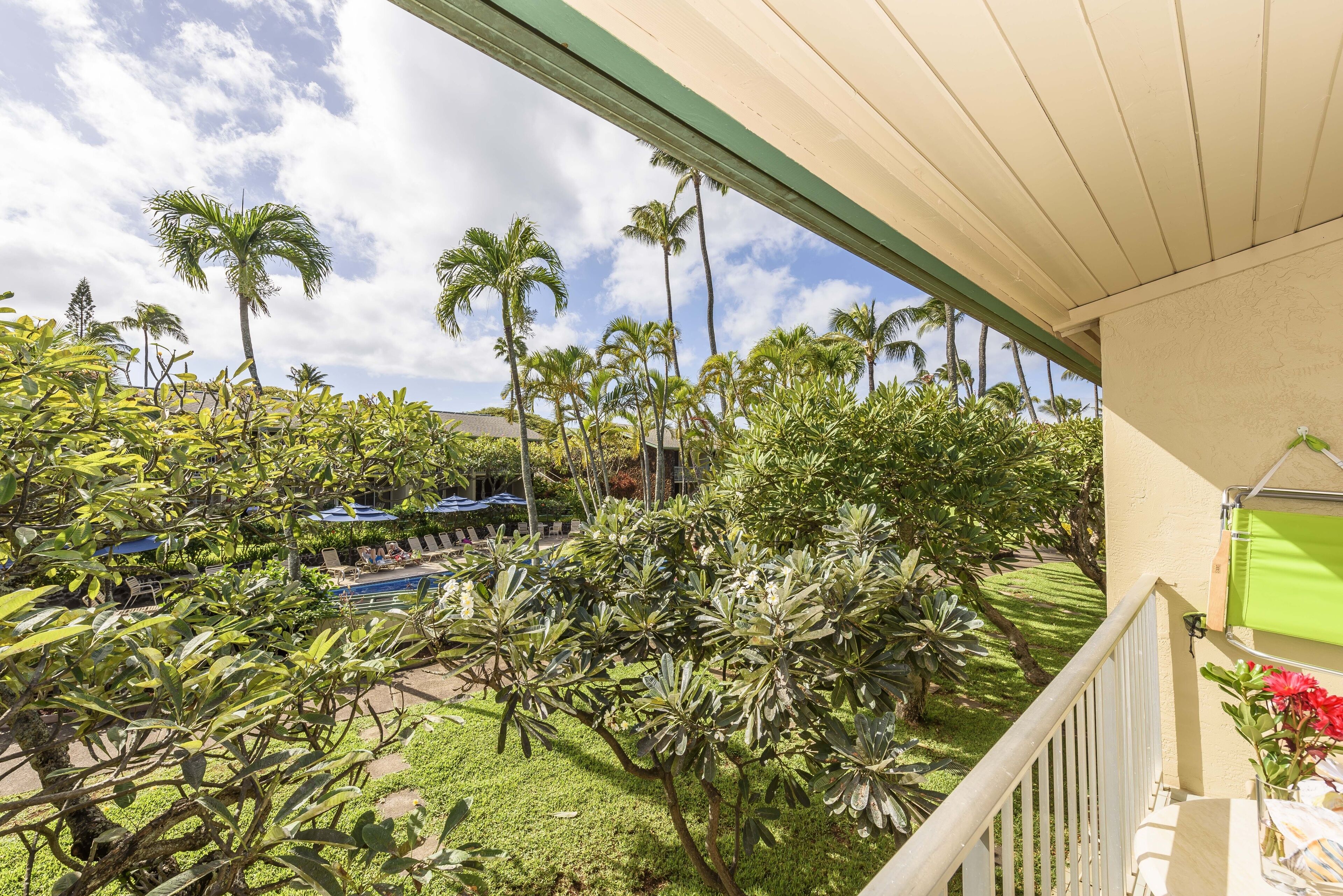 Napili Shores by RedAwning