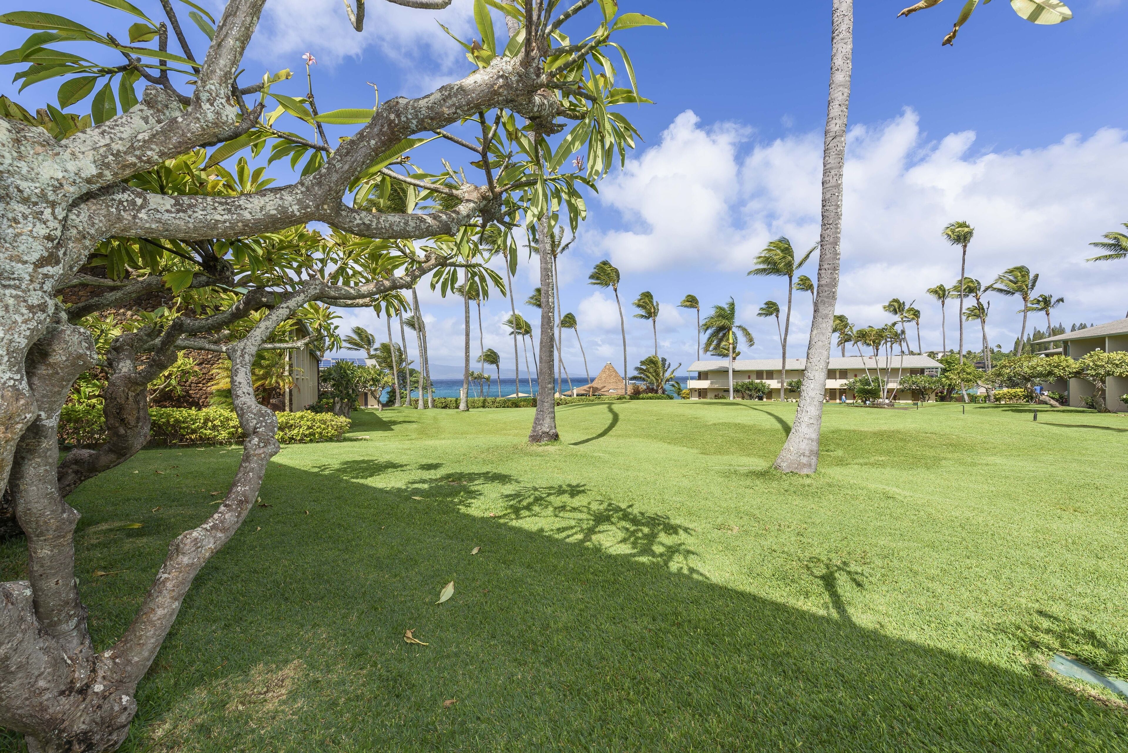 Napili Shores by RedAwning