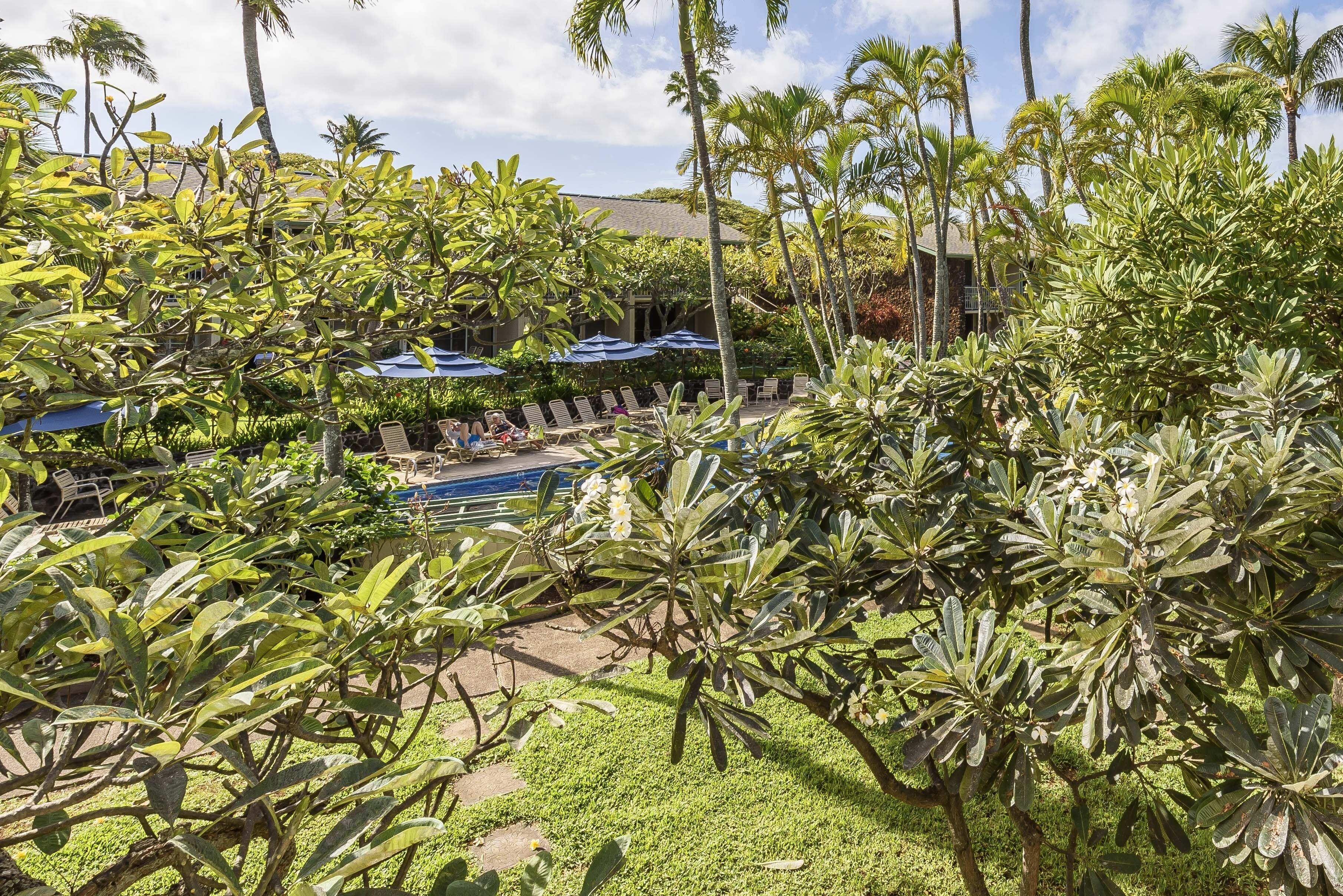 Napili Shores by RedAwning