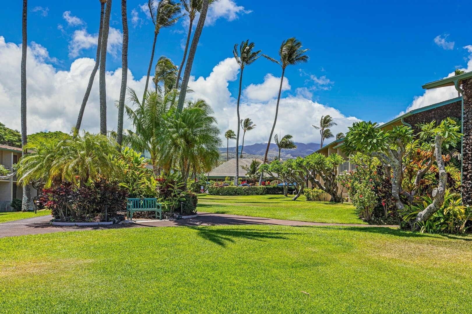 Napili Shores by RedAwning