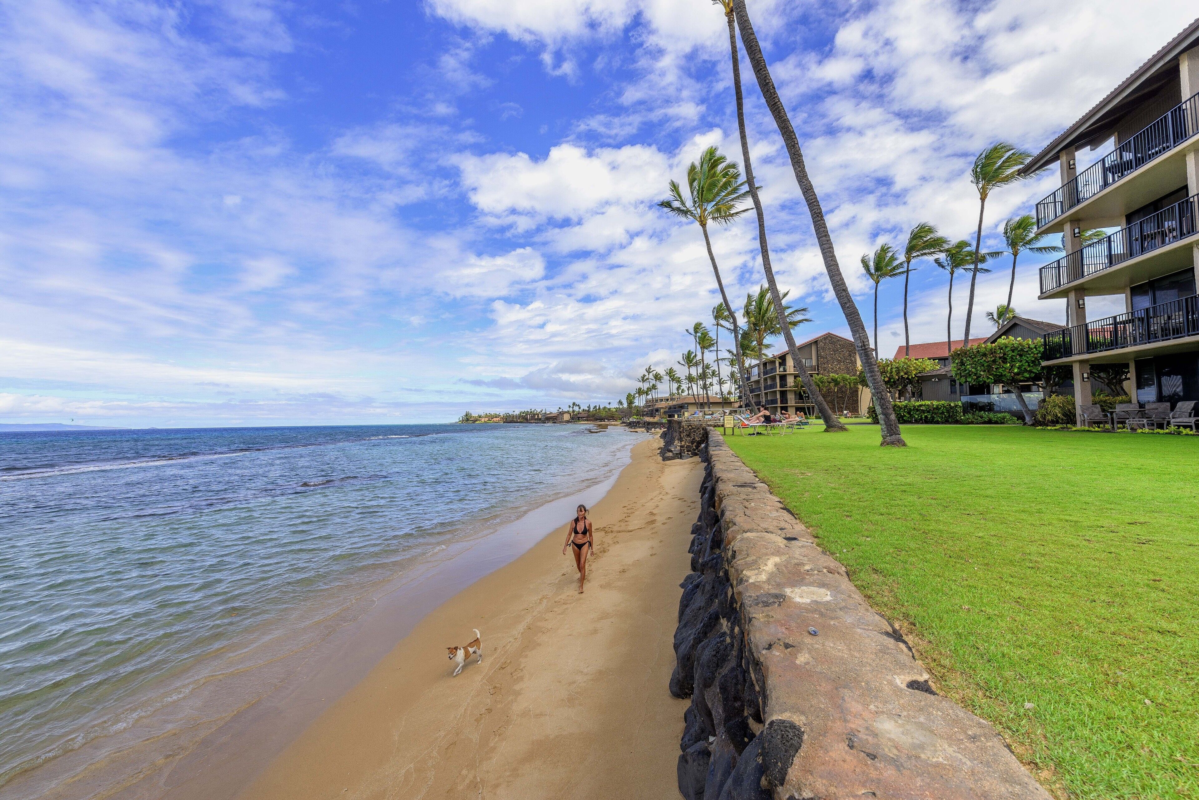Papakea Ocean Front Resort