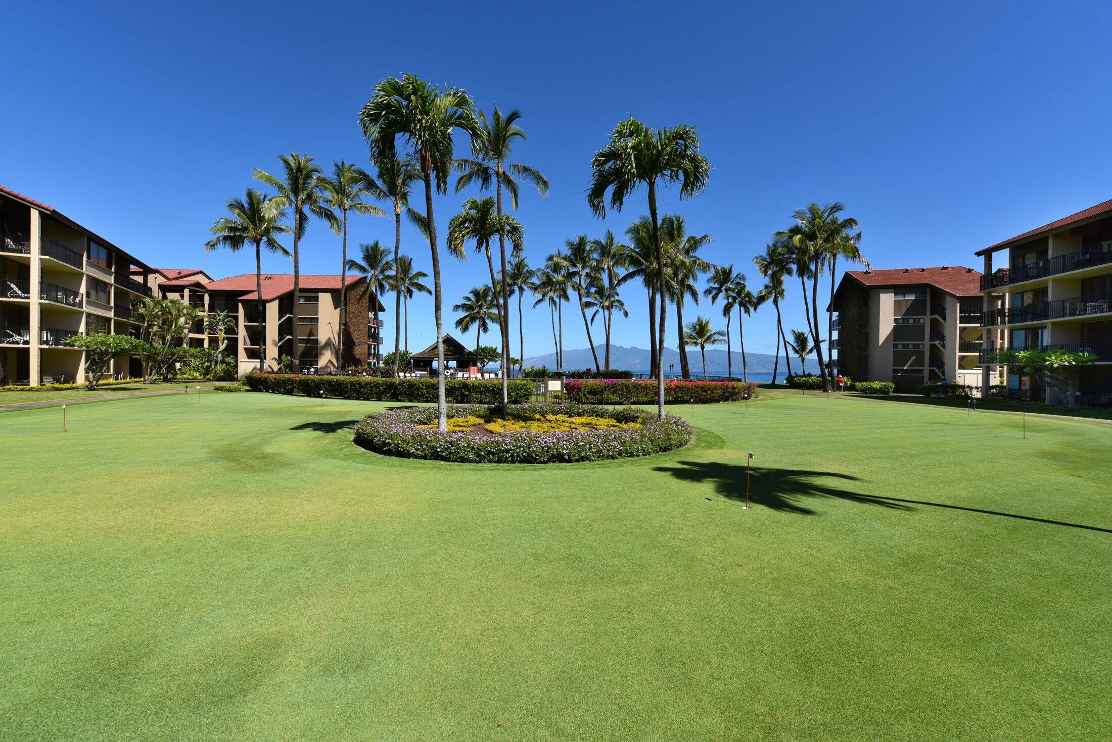 Papakea Ocean Front Resort