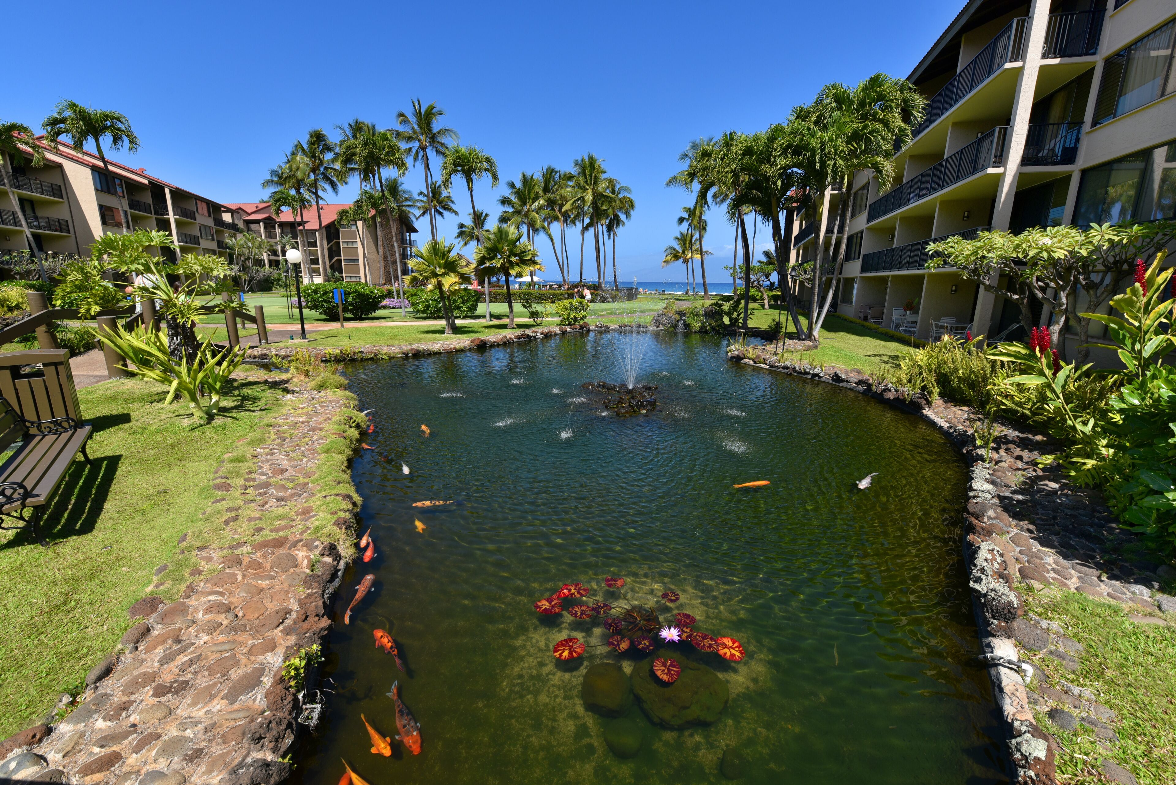 Papakea Ocean Front Resort