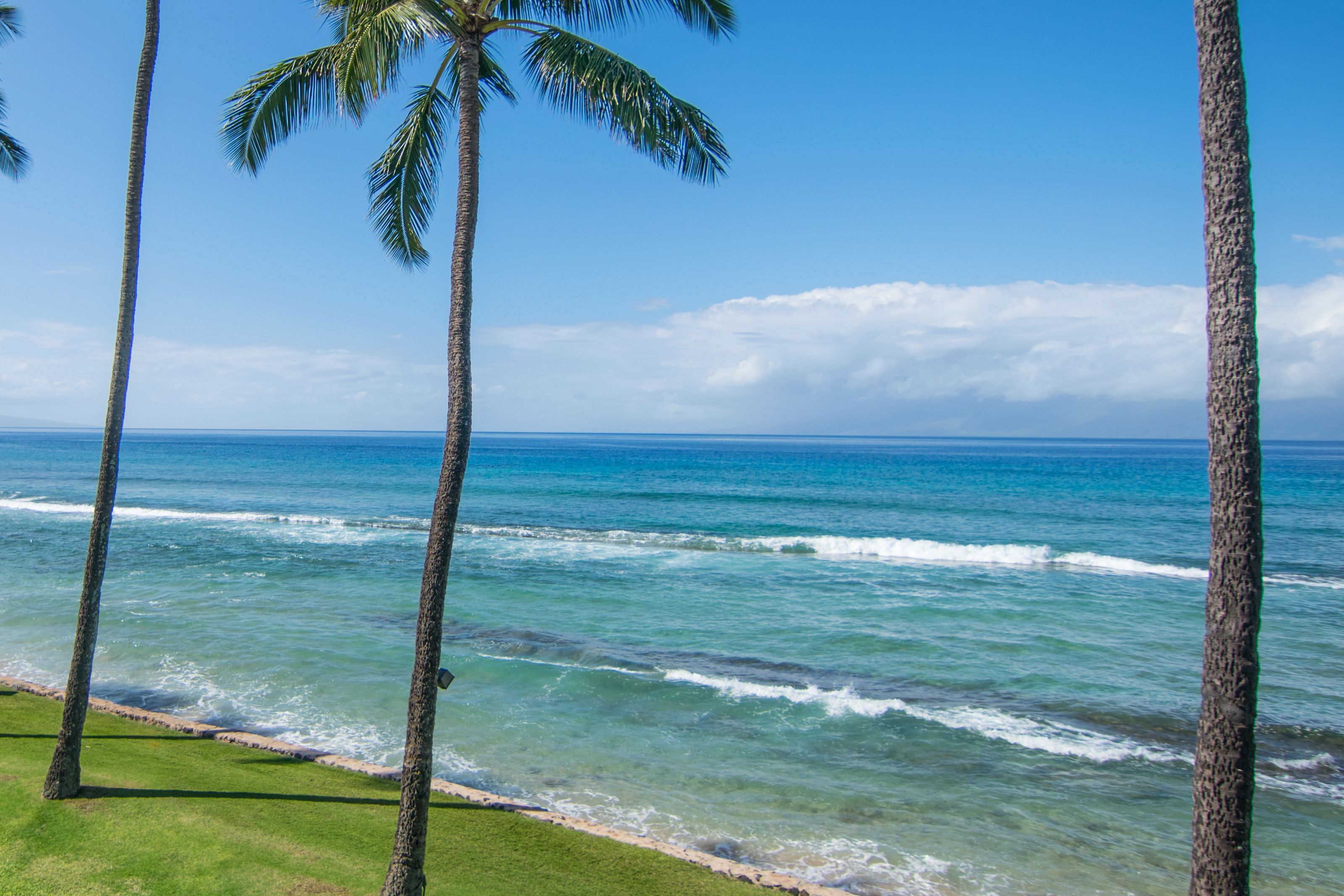 Papakea Ocean Front Resort