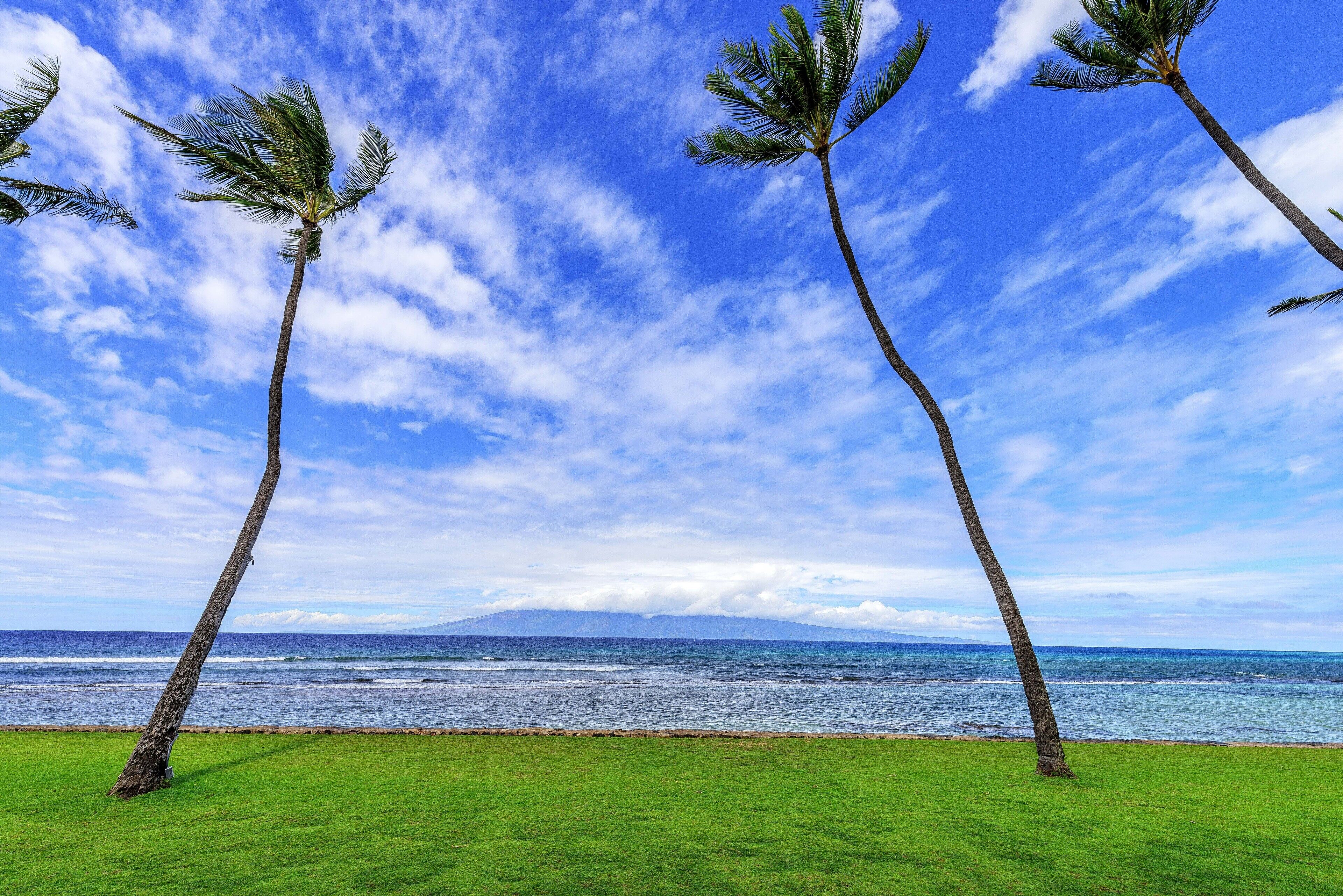 Papakea Ocean Front Resort