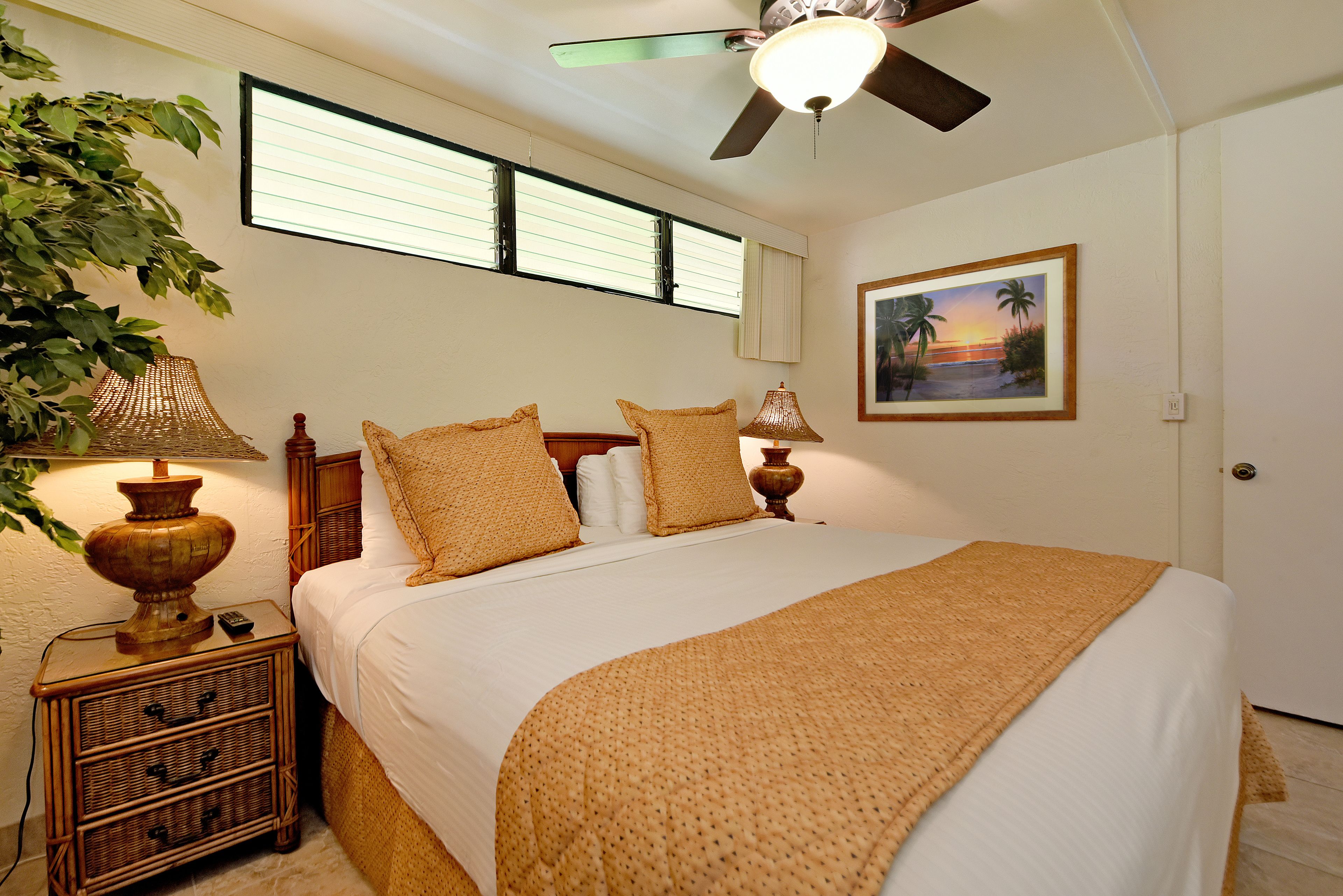 Papakea Ocean Front Resort