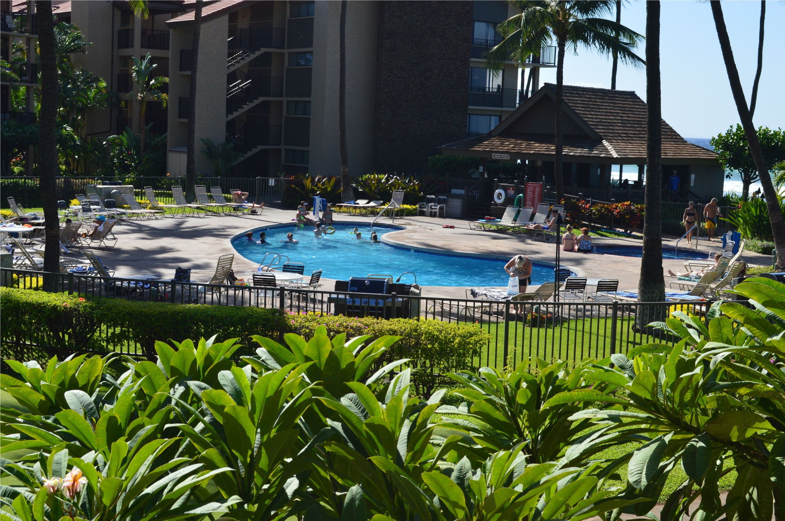 Papakea Ocean Front Resort
