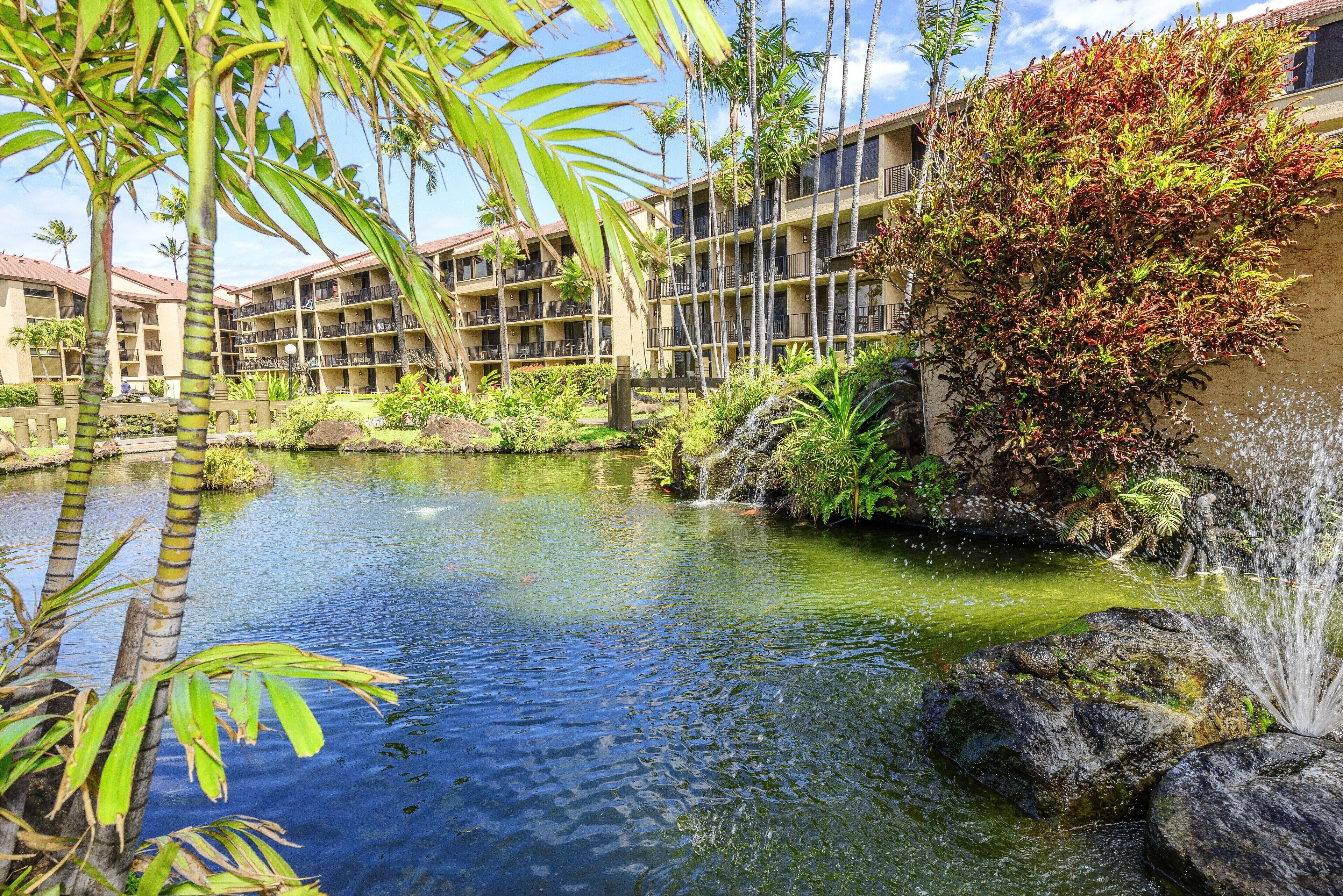 Papakea Ocean Front Resort