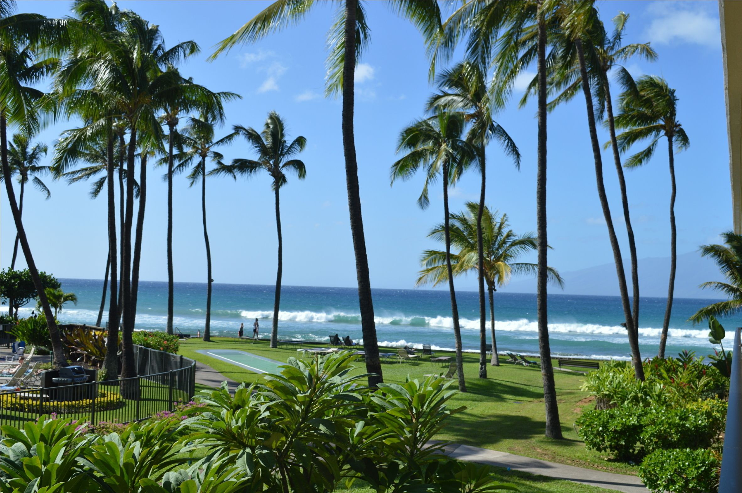Papakea Ocean Front Resort