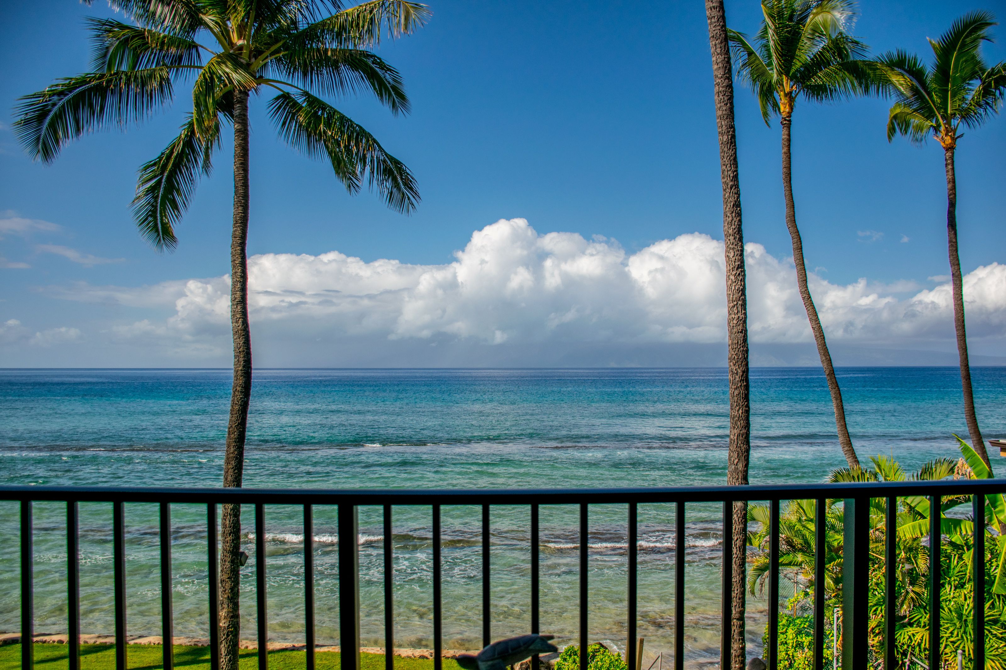 Papakea Ocean Front Resort