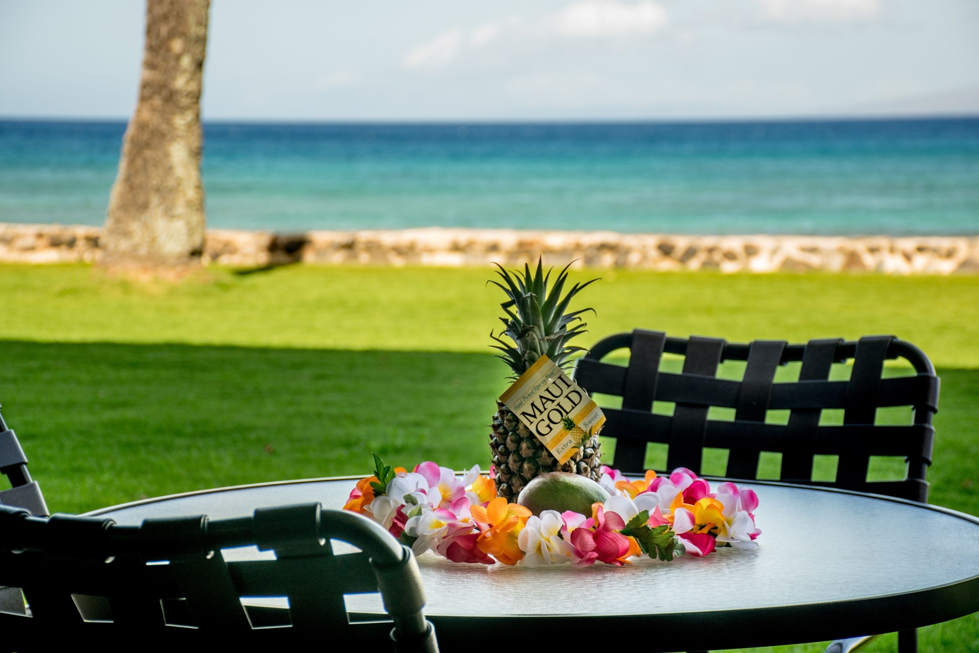 Papakea Ocean Front Resort