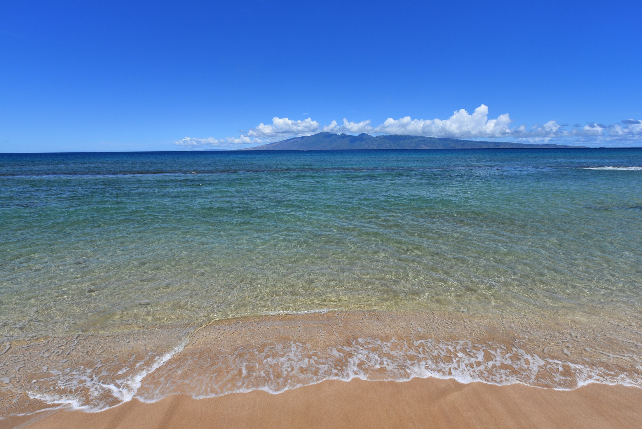 Papakea Ocean Front Resort