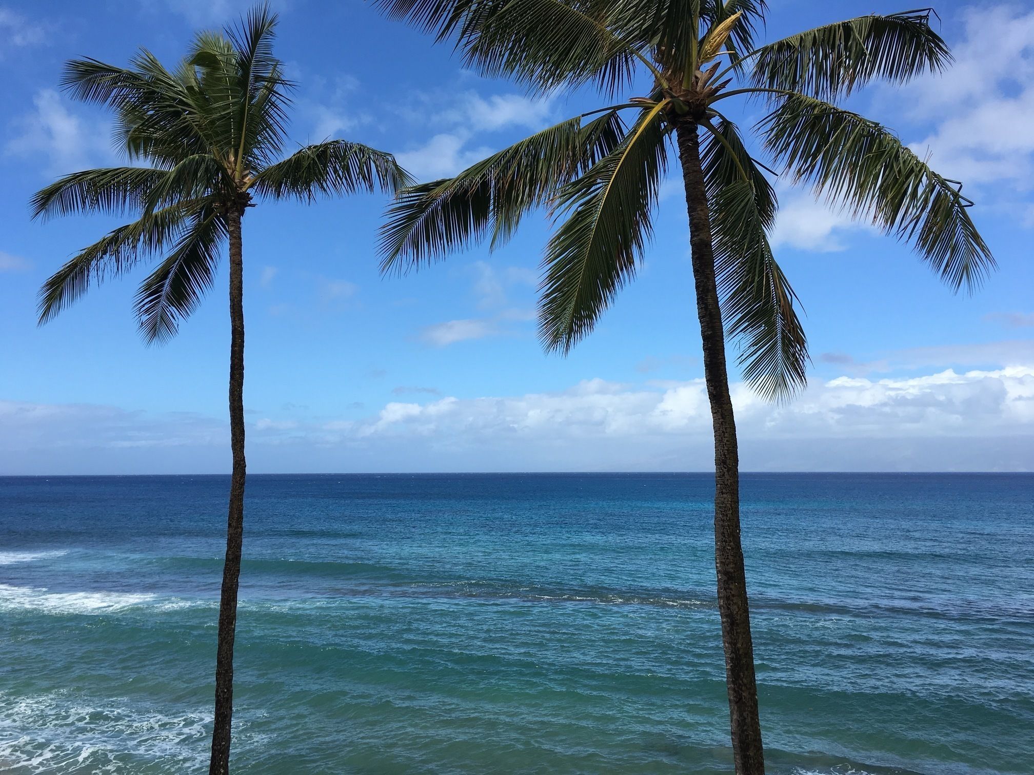 Papakea Ocean Front Resort