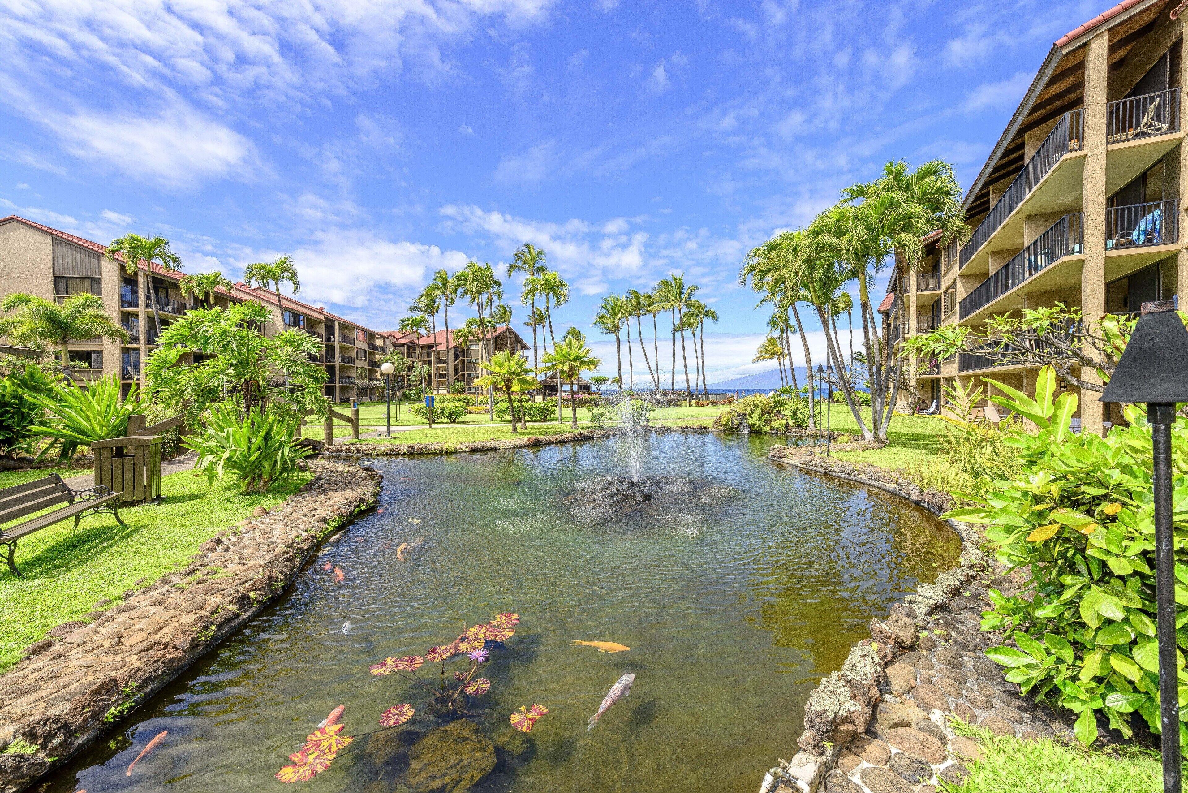 Papakea Ocean Front Resort