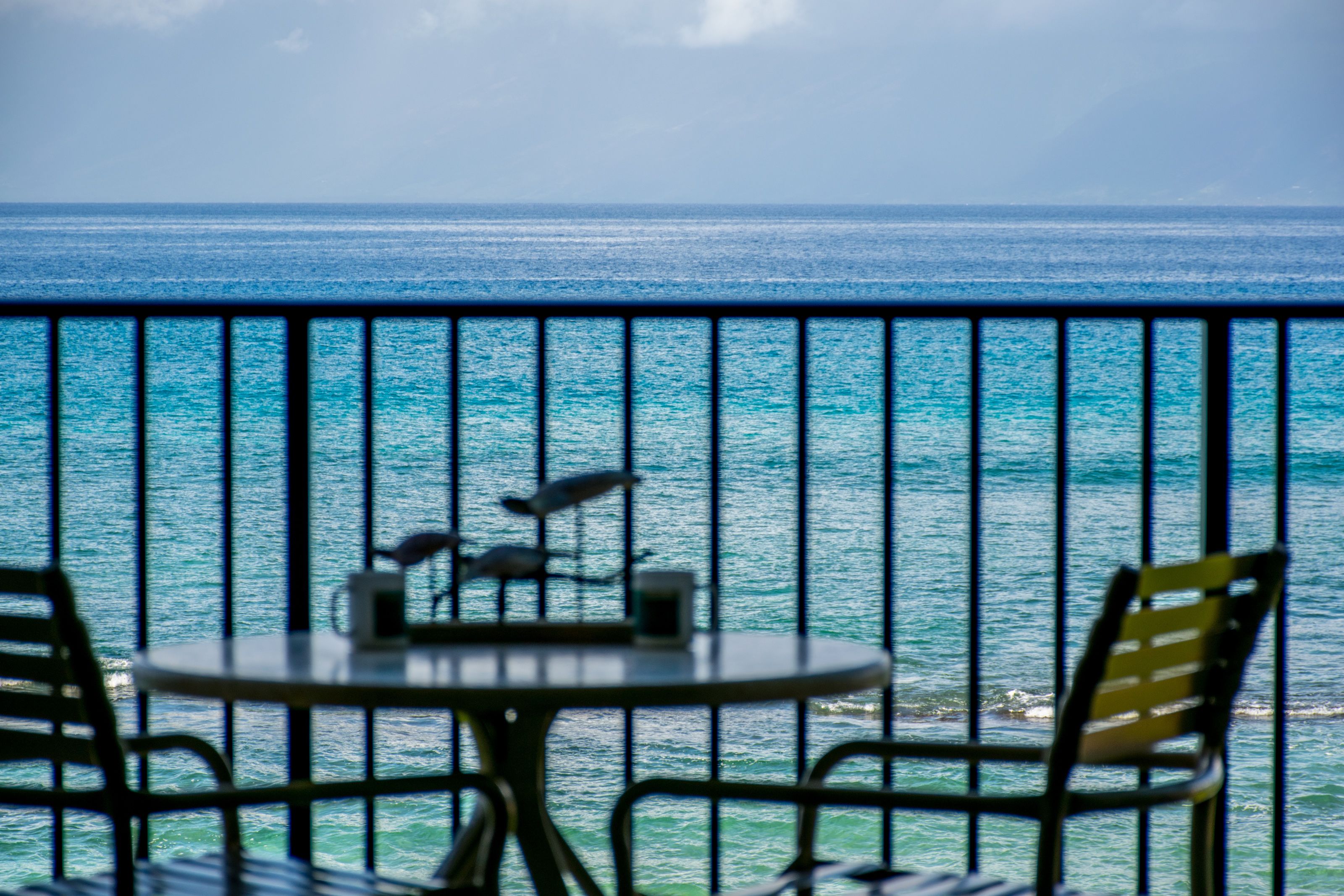Papakea Ocean Front Resort