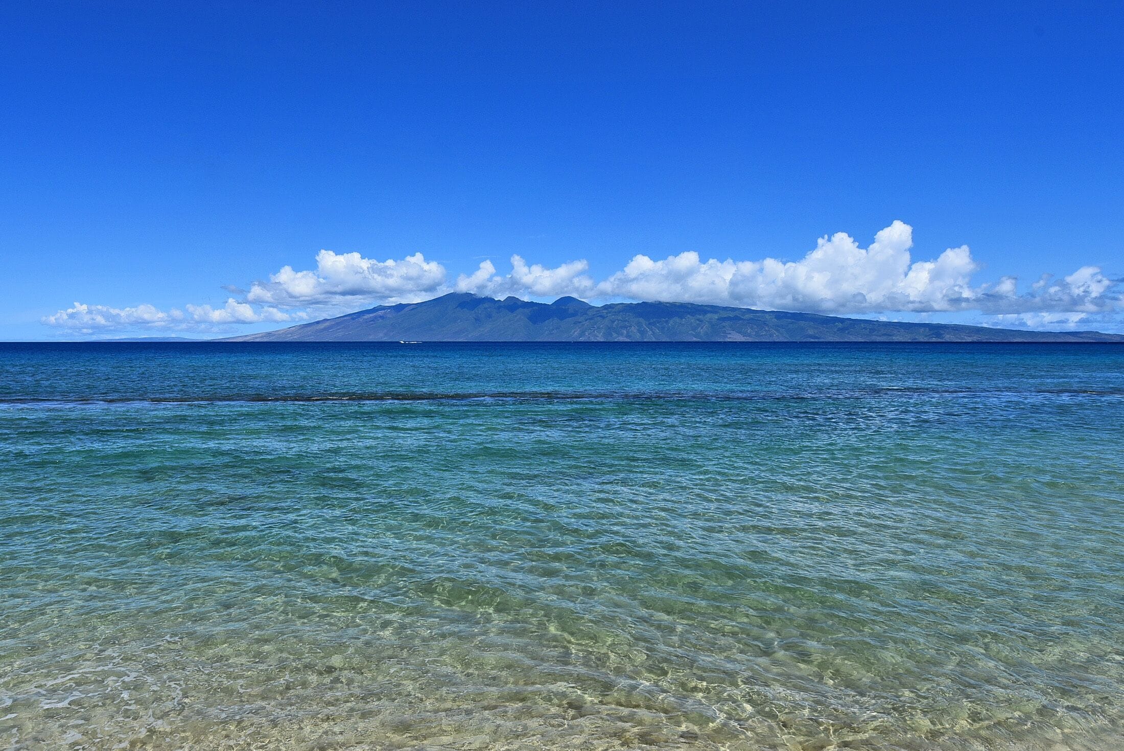 Papakea Ocean Front Resort