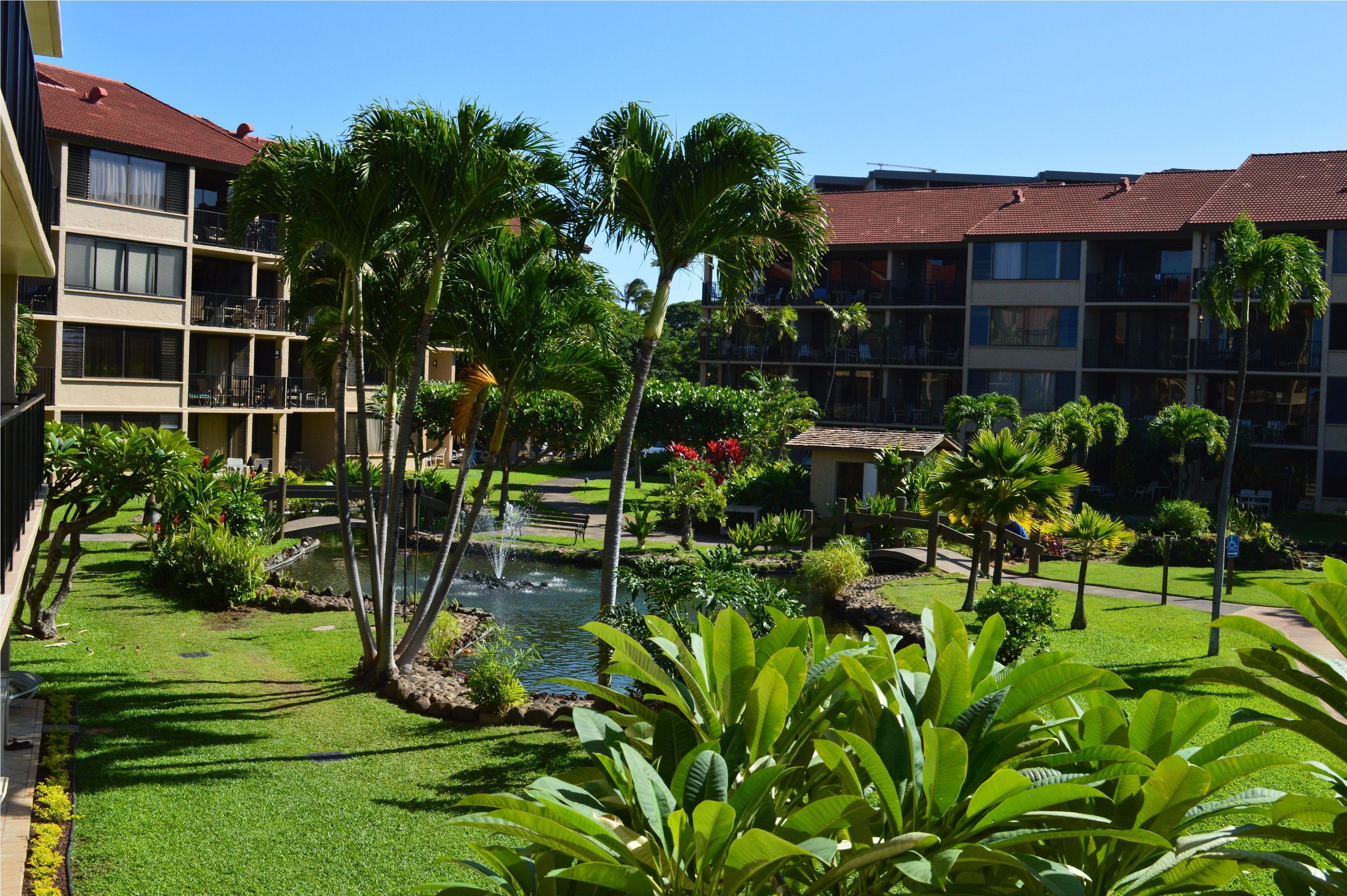 Papakea Ocean Front Resort