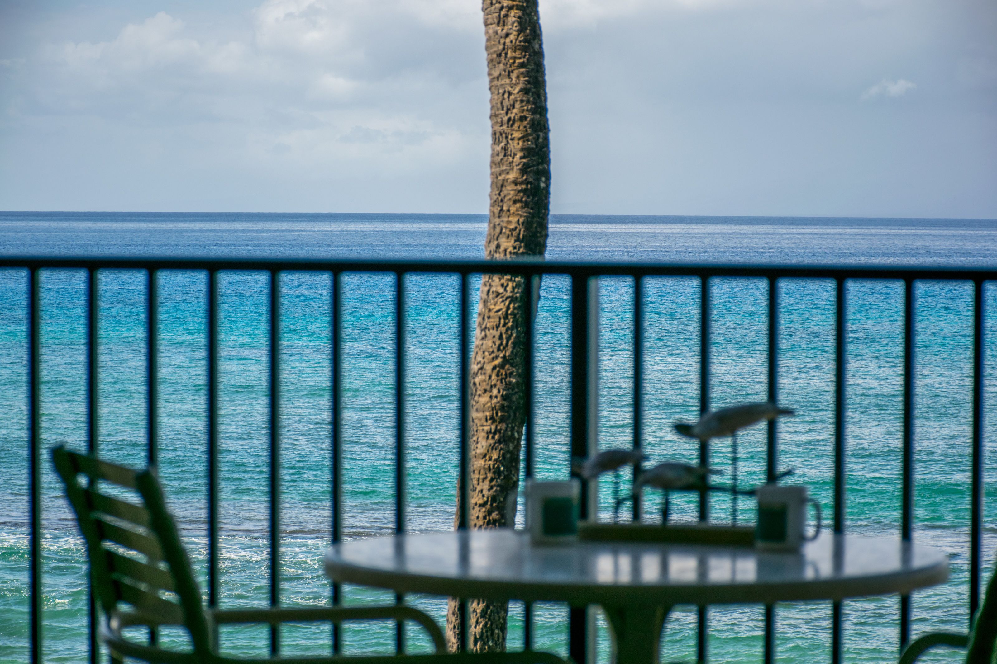 Papakea Ocean Front Resort