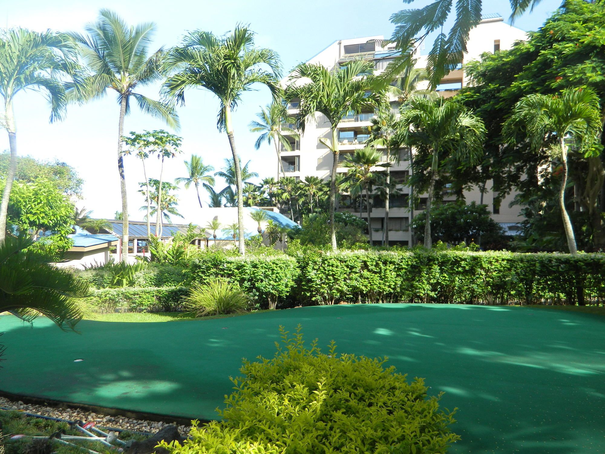 The Sands of Kahana