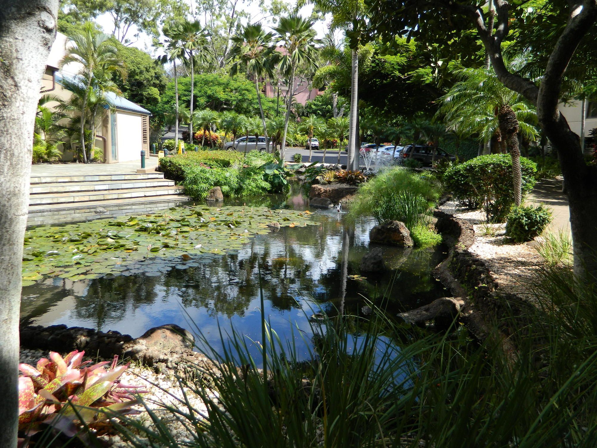 The Sands of Kahana
