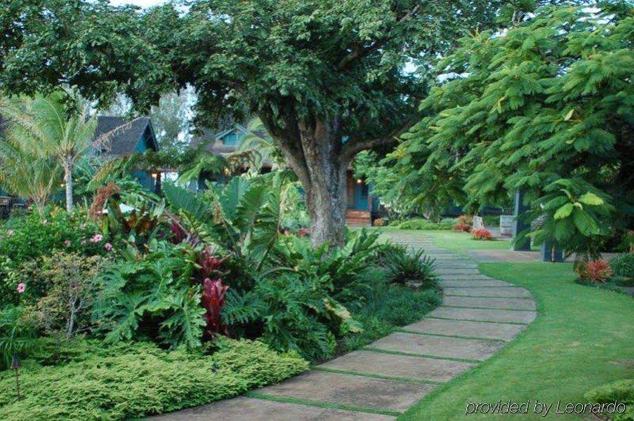 Lumeria Maui Retreat