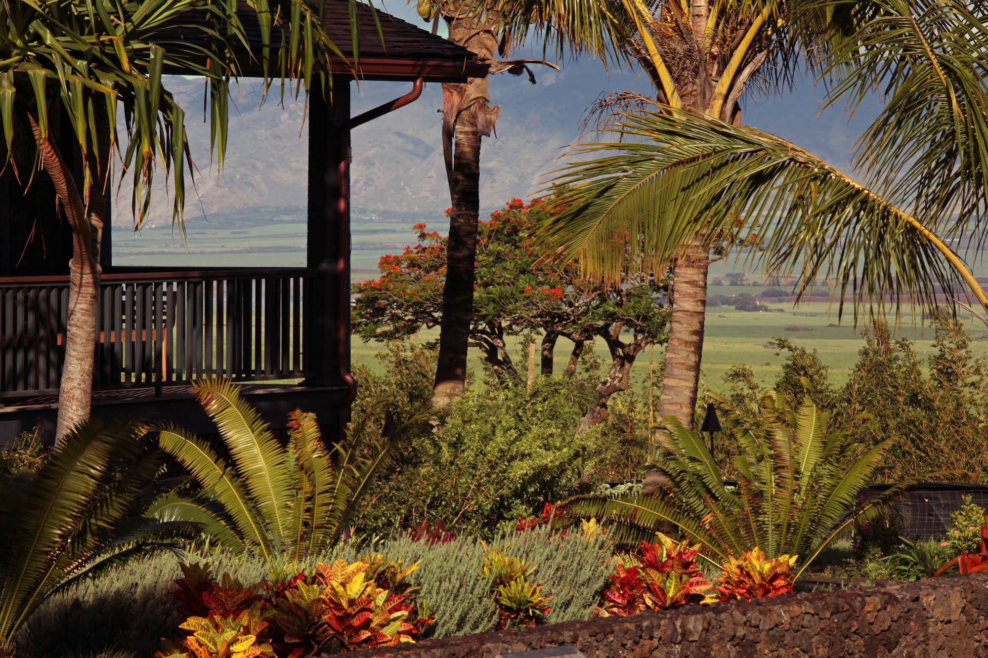 Lumeria Maui Retreat