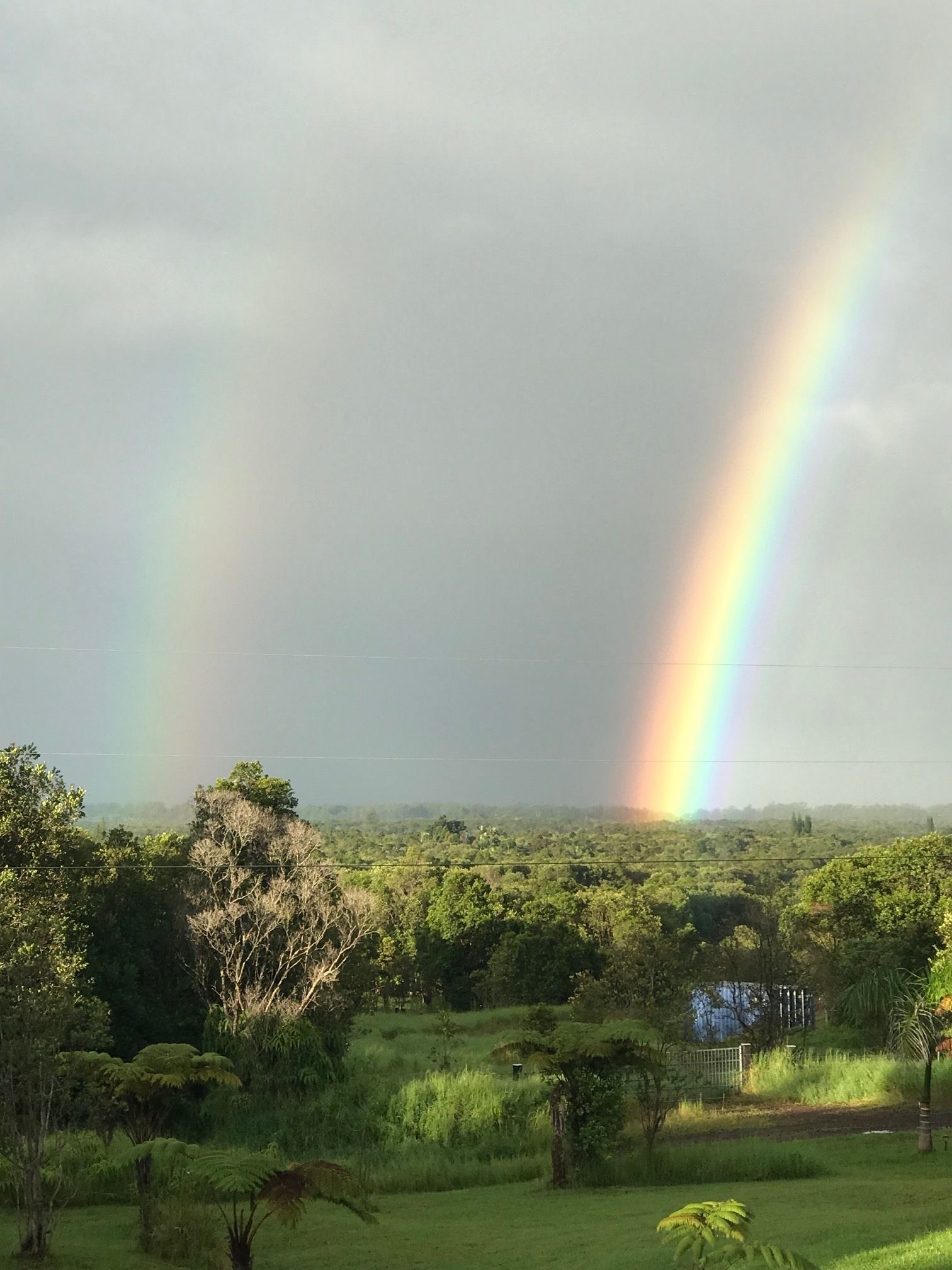 Volcano Park Rentals