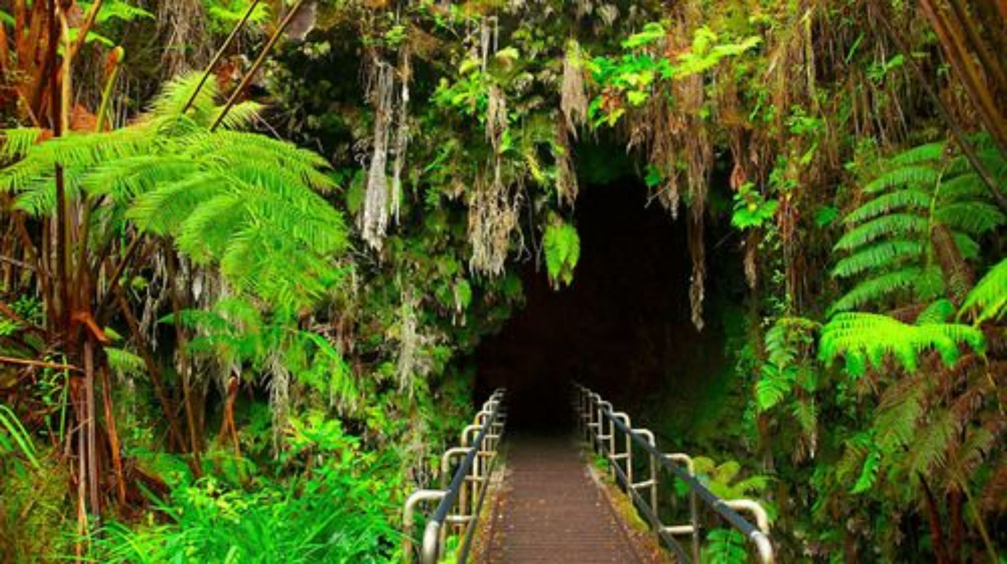 Volcano Park Rentals