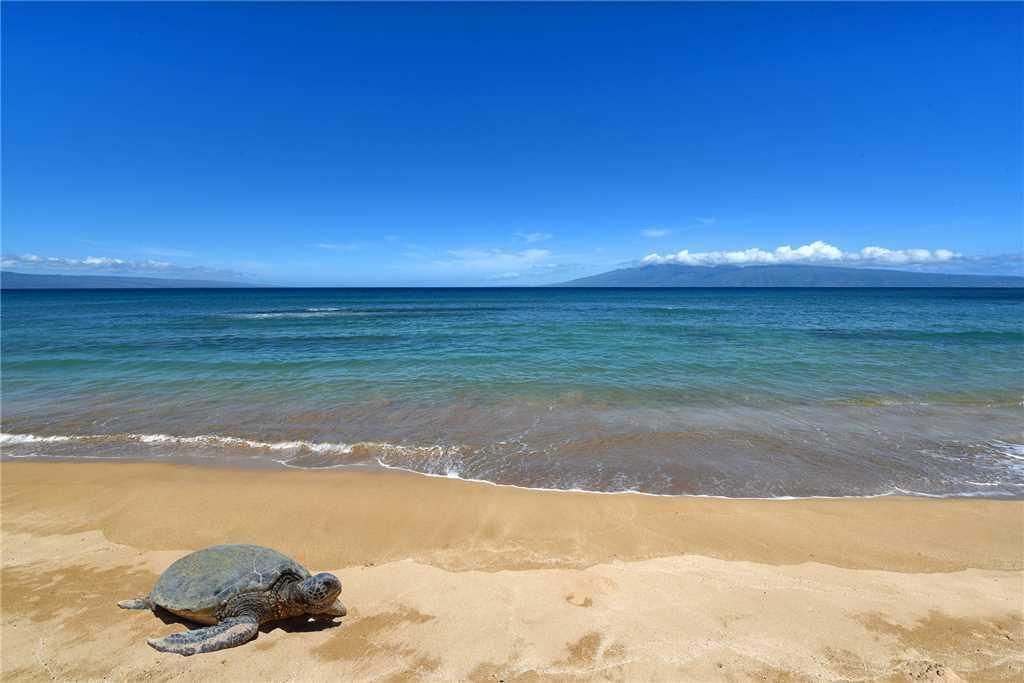 Makani Sands by RedAwning