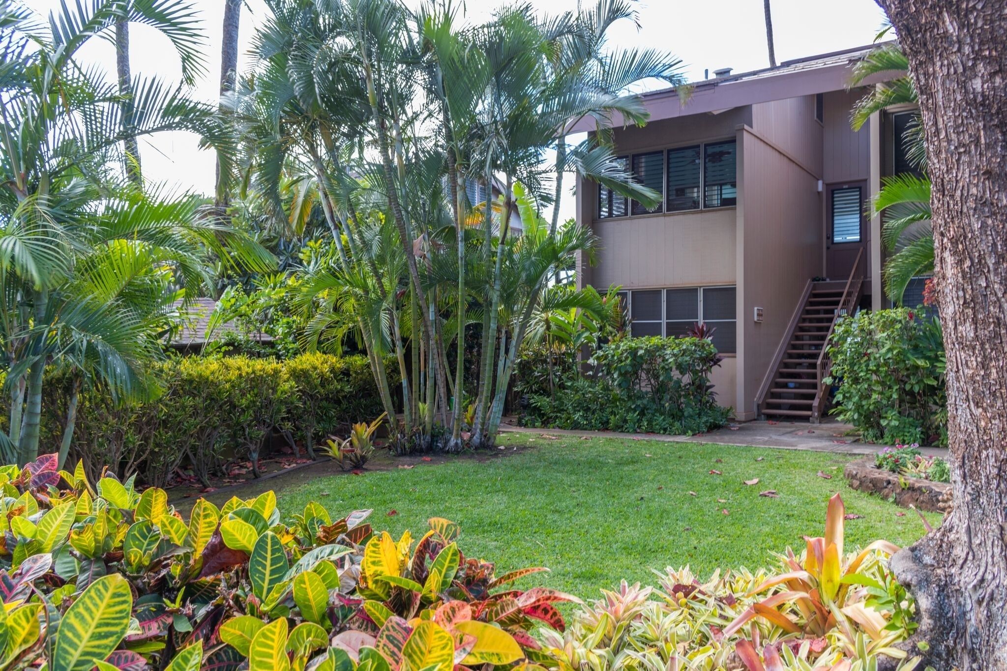 The Pikake by RedAwning