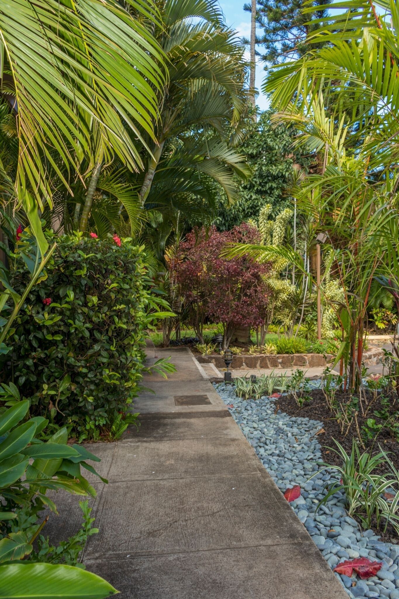 The Pikake by RedAwning