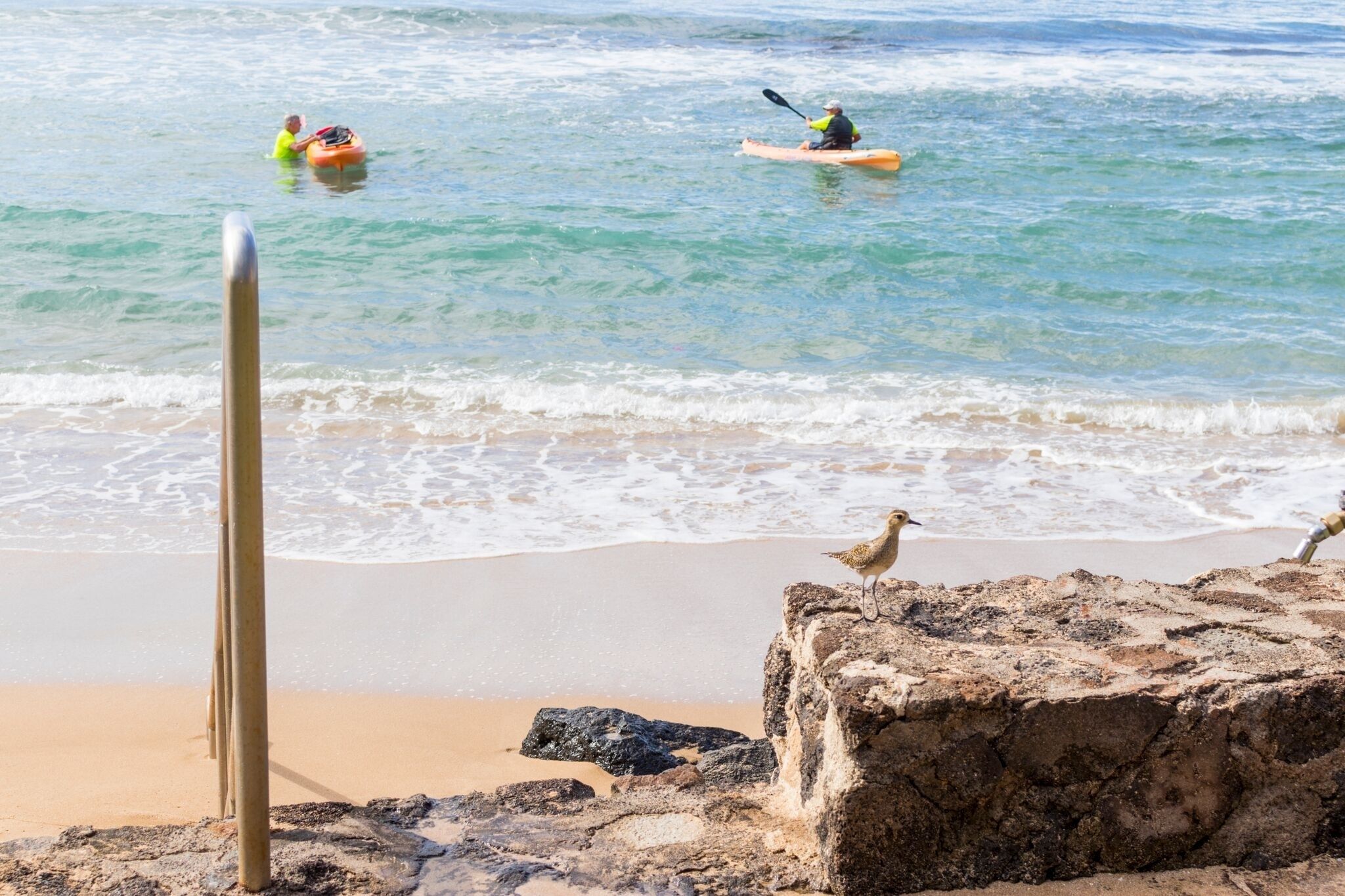 The Pikake by RedAwning