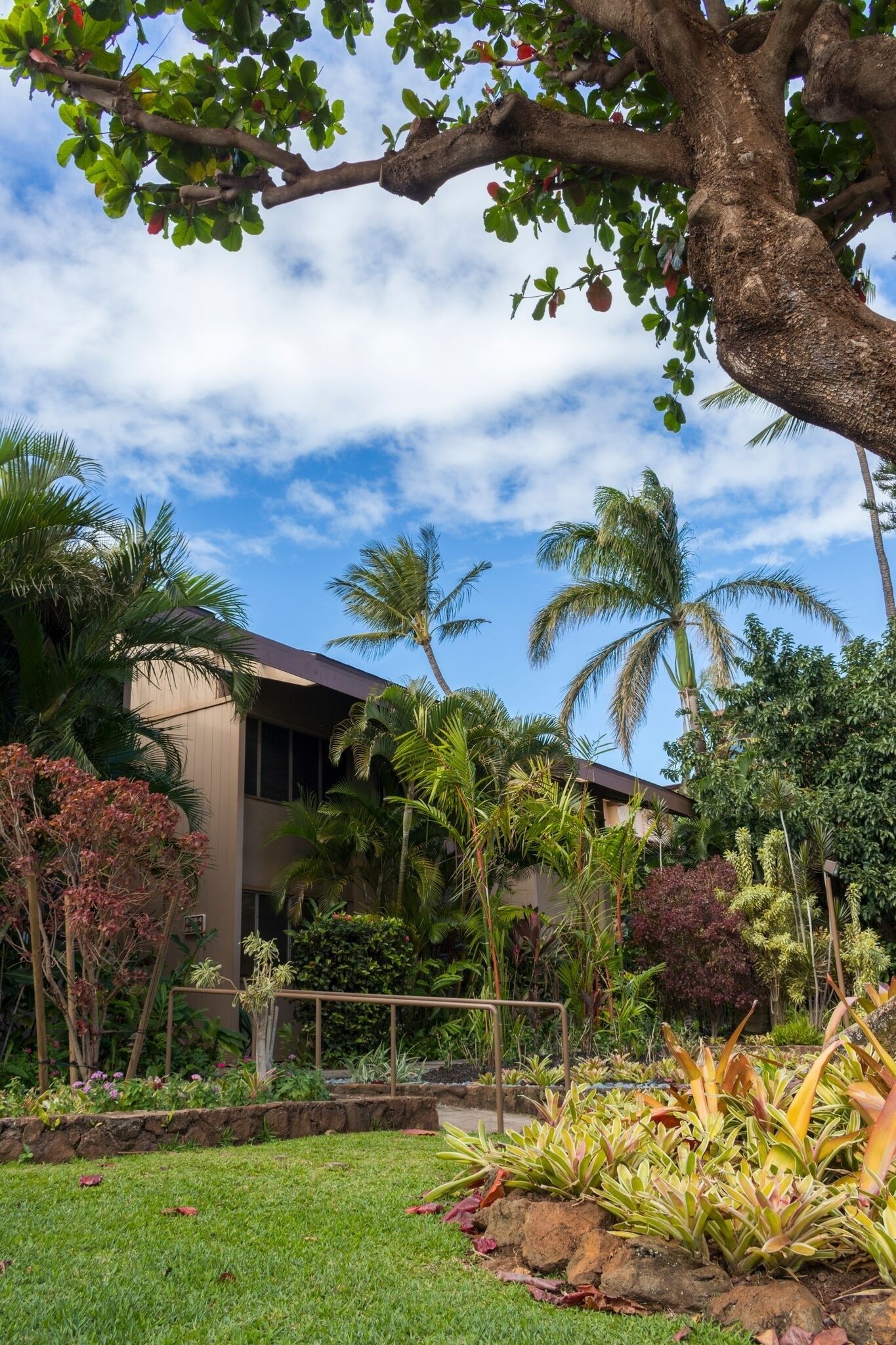 The Pikake by RedAwning