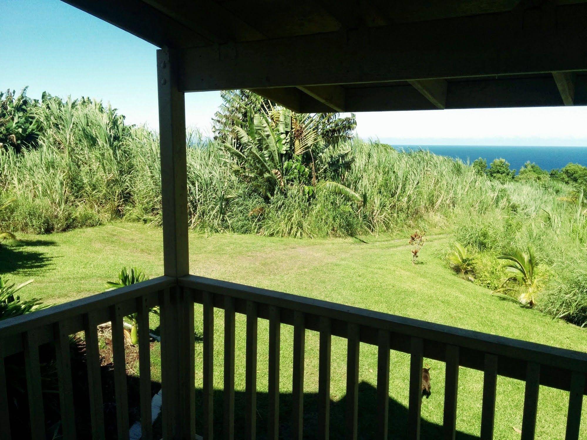 Hamakua Guest House