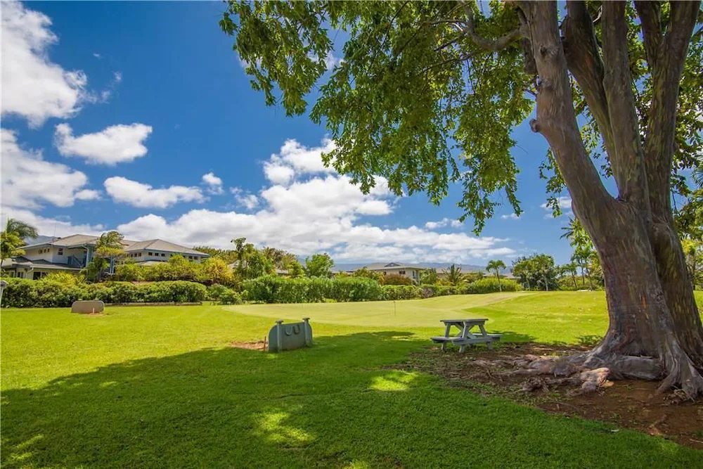 The Cliffs at Princeville by RedAwning