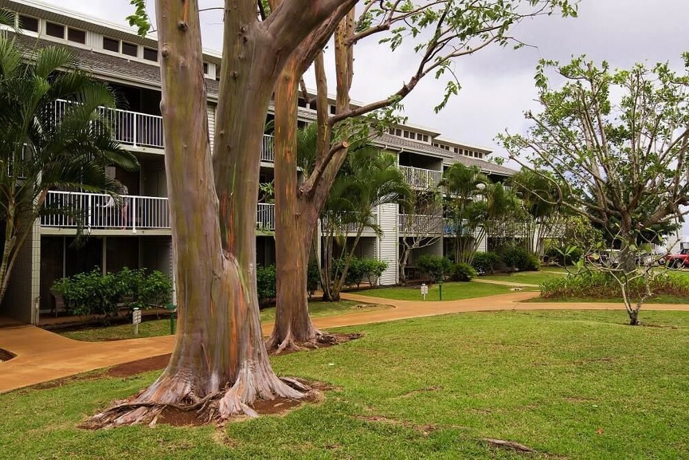 The Cliffs at Princeville by RedAwning