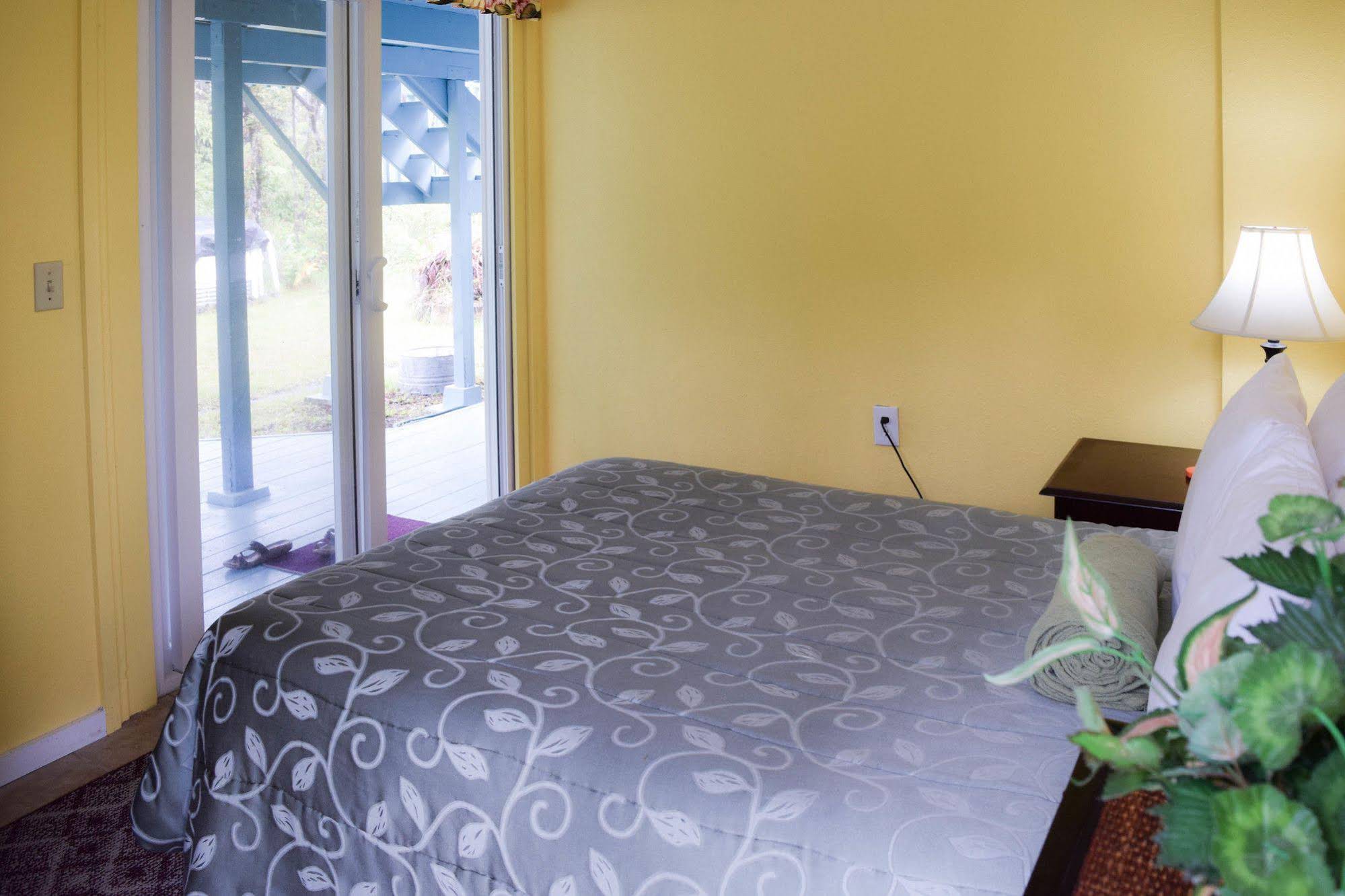 Kahu Io Guardian Hawk