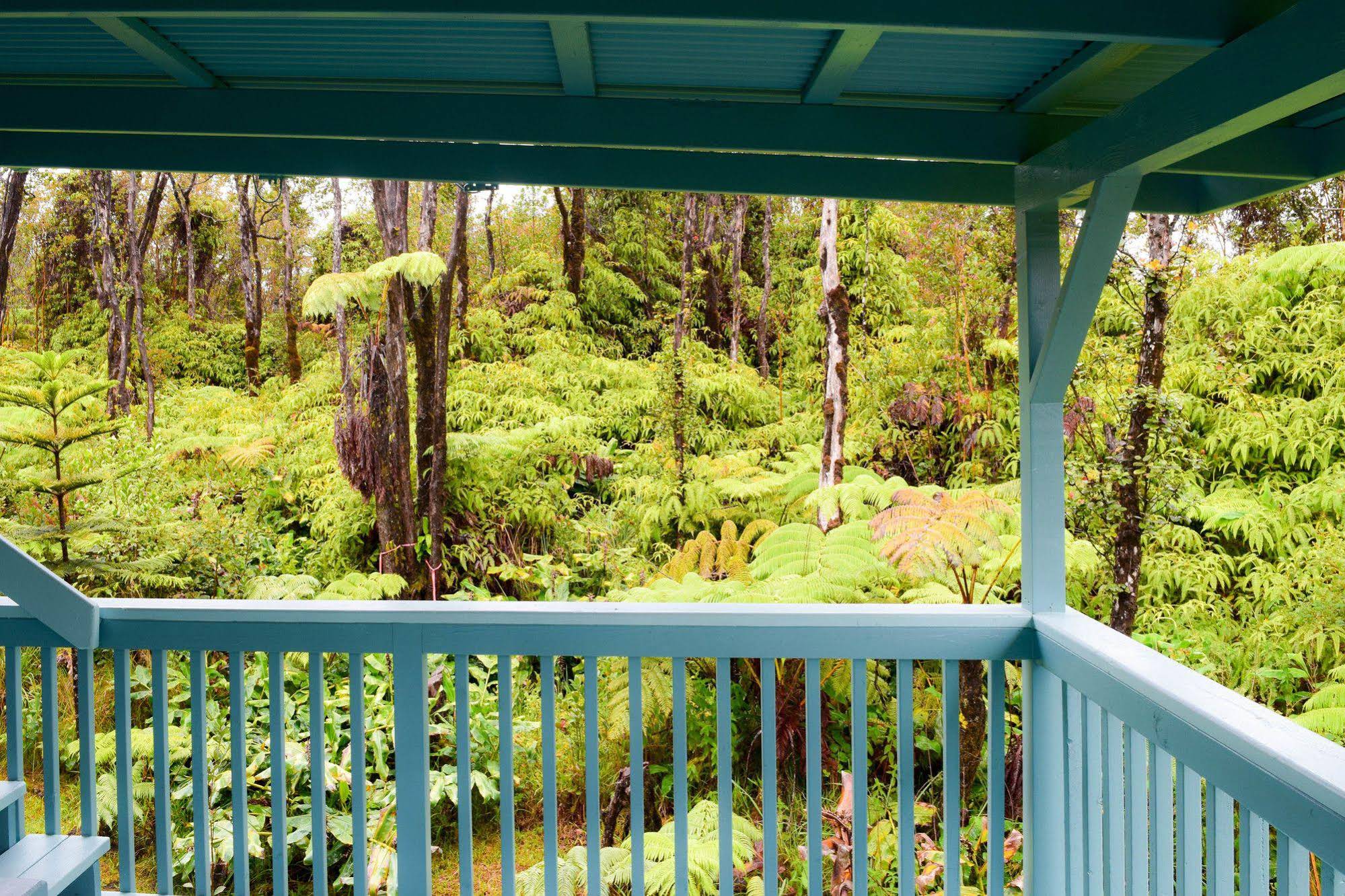 Kahu Io Guardian Hawk