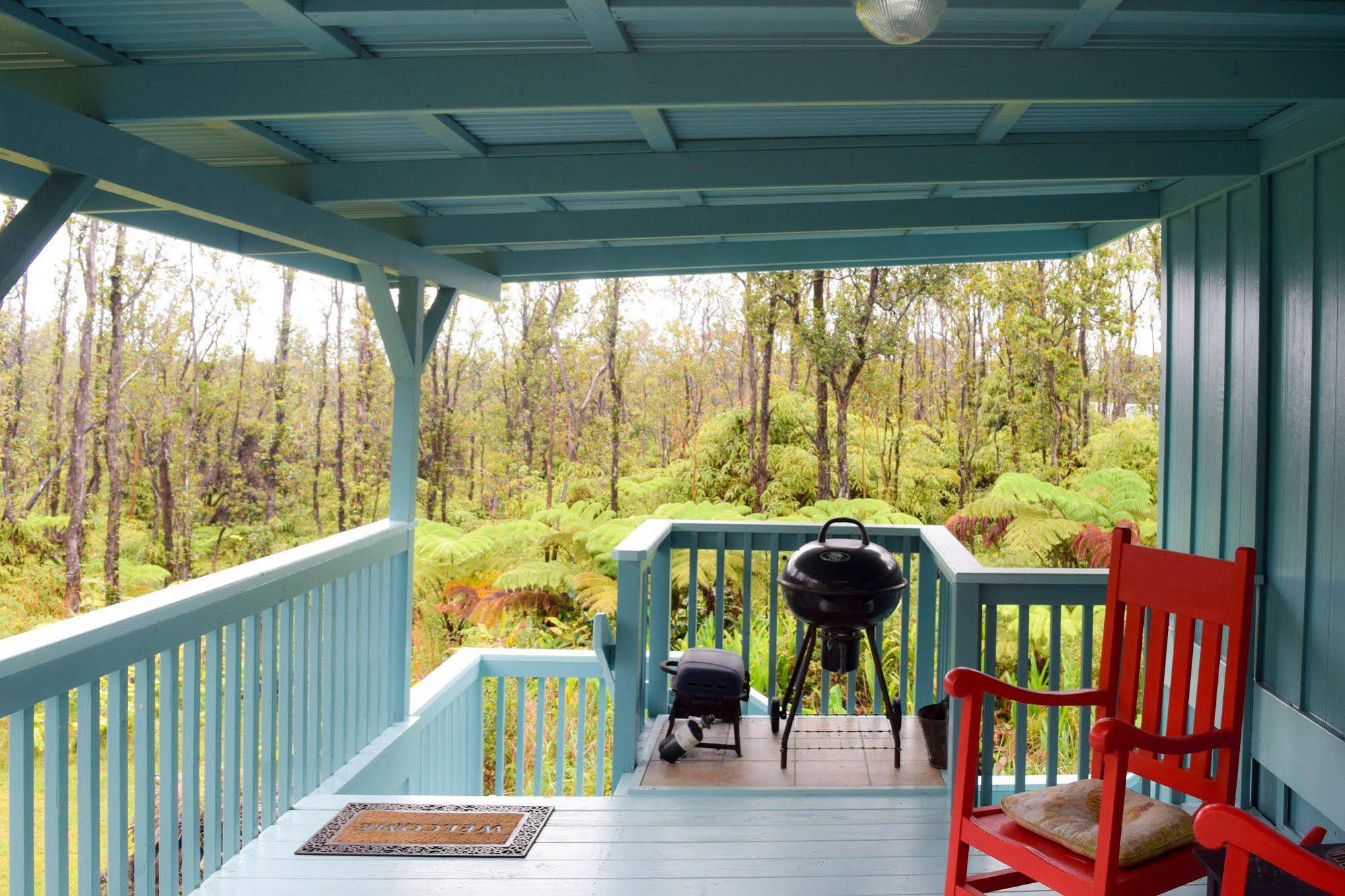 Kahu Io Guardian Hawk