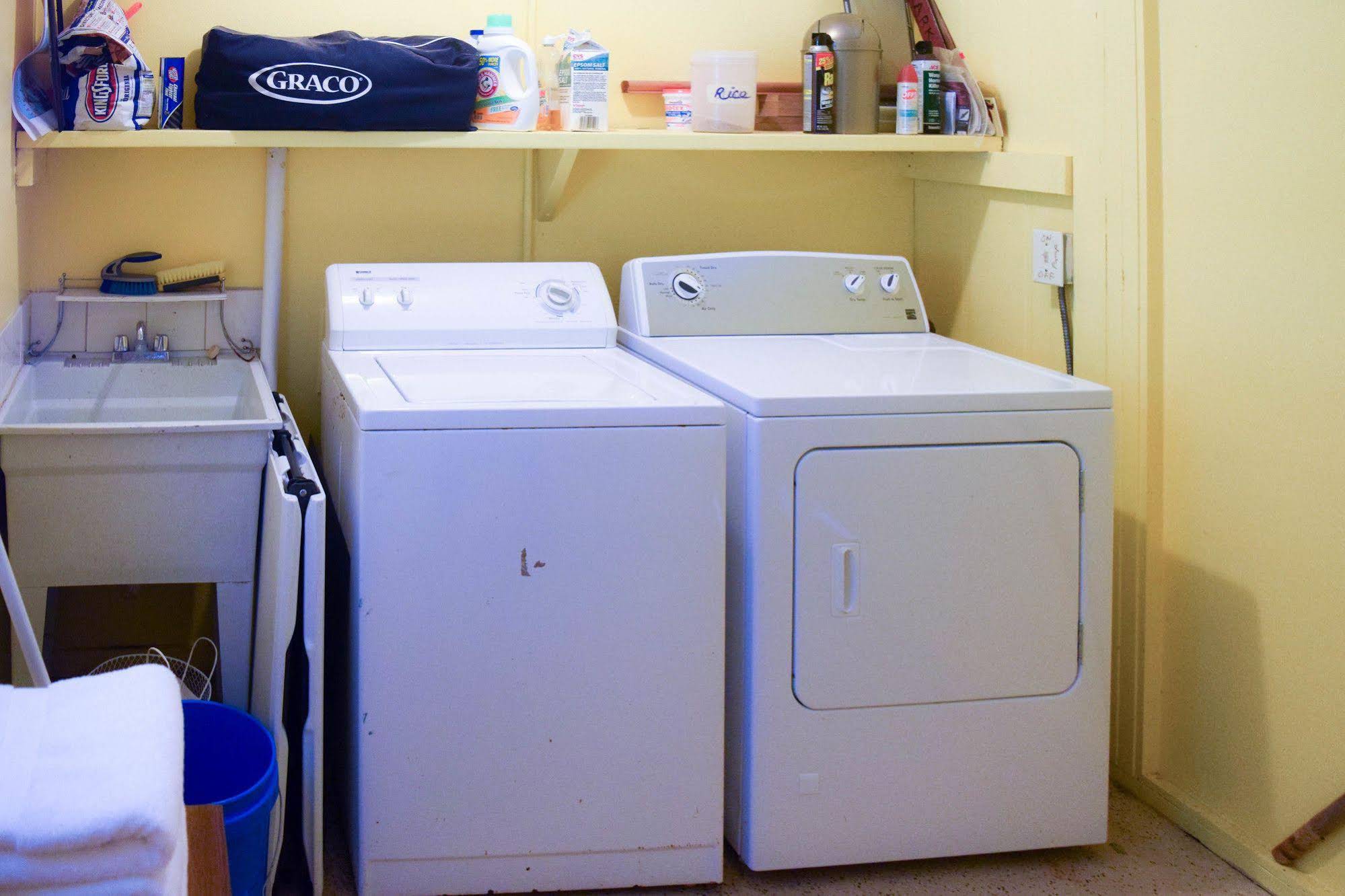 Kahu Io Guardian Hawk