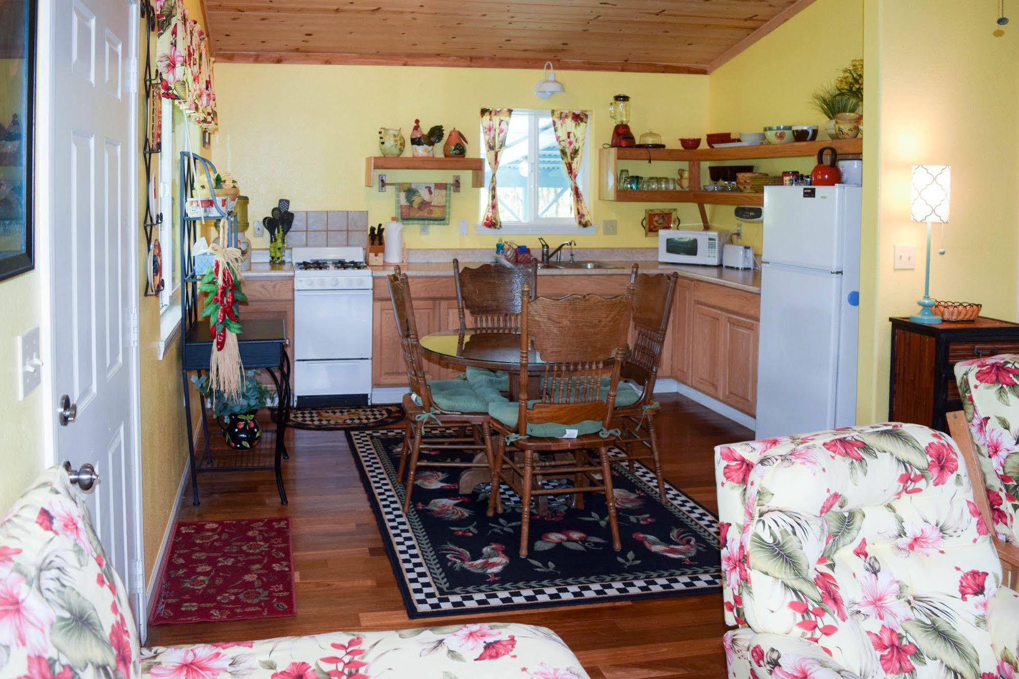 Kahu Io Guardian Hawk