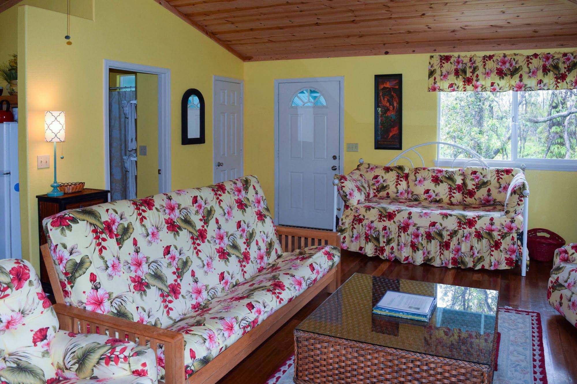 Kahu Io Guardian Hawk